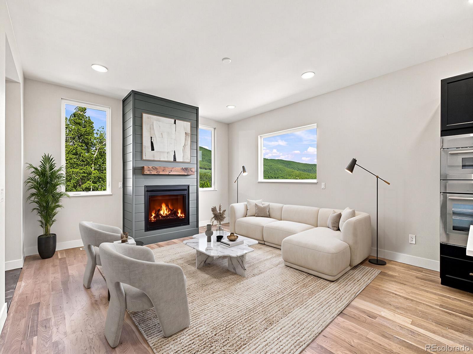 MLS Image #12 for 1000  highpoint circle,black hawk, Colorado
