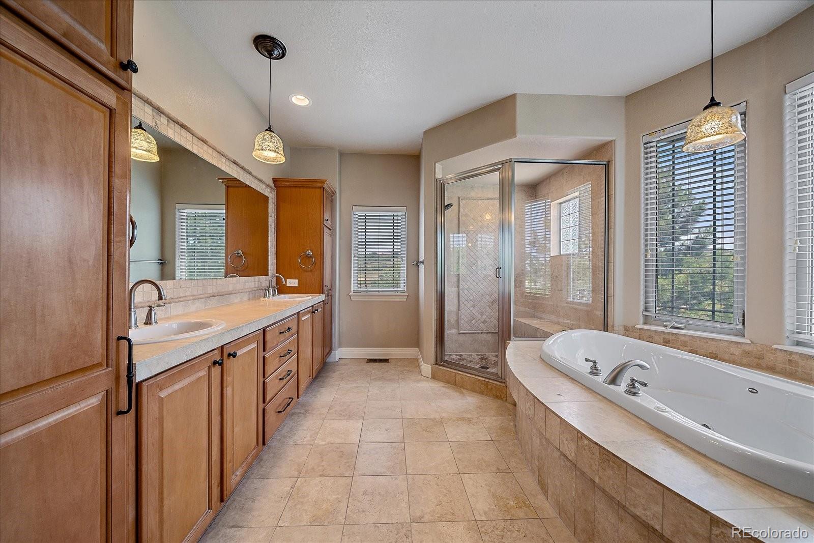 MLS Image #15 for 6265  diamond ridge parkway,castle rock, Colorado