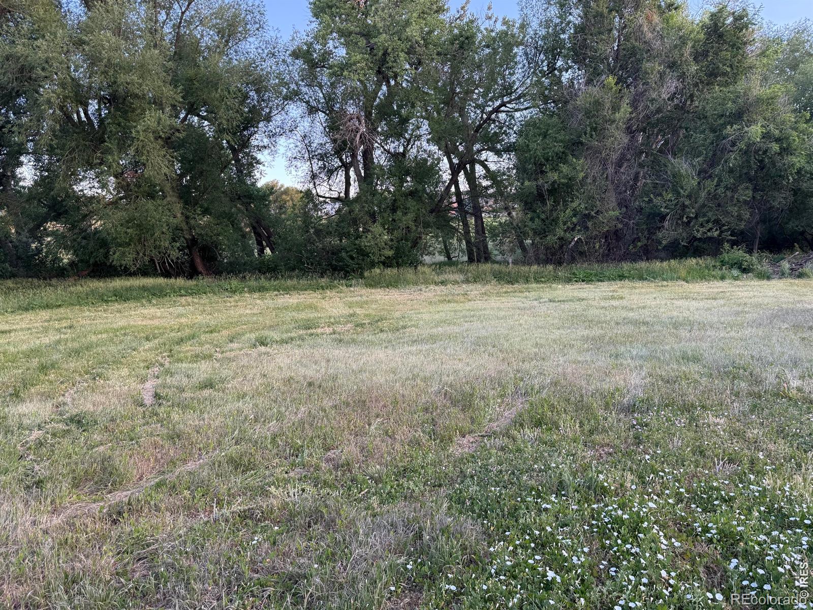 MLS Image #18 for 6608 w county road 20 ,loveland, Colorado