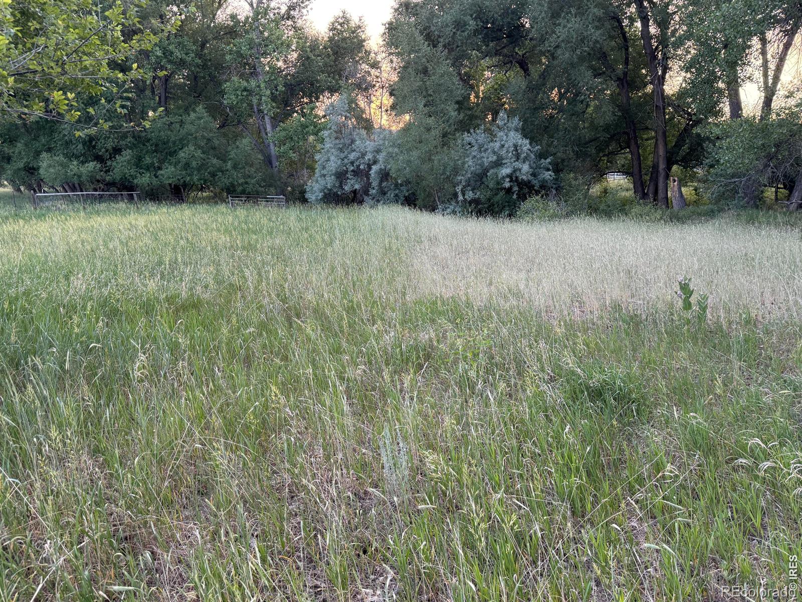 MLS Image #21 for 6608 w county road 20 ,loveland, Colorado