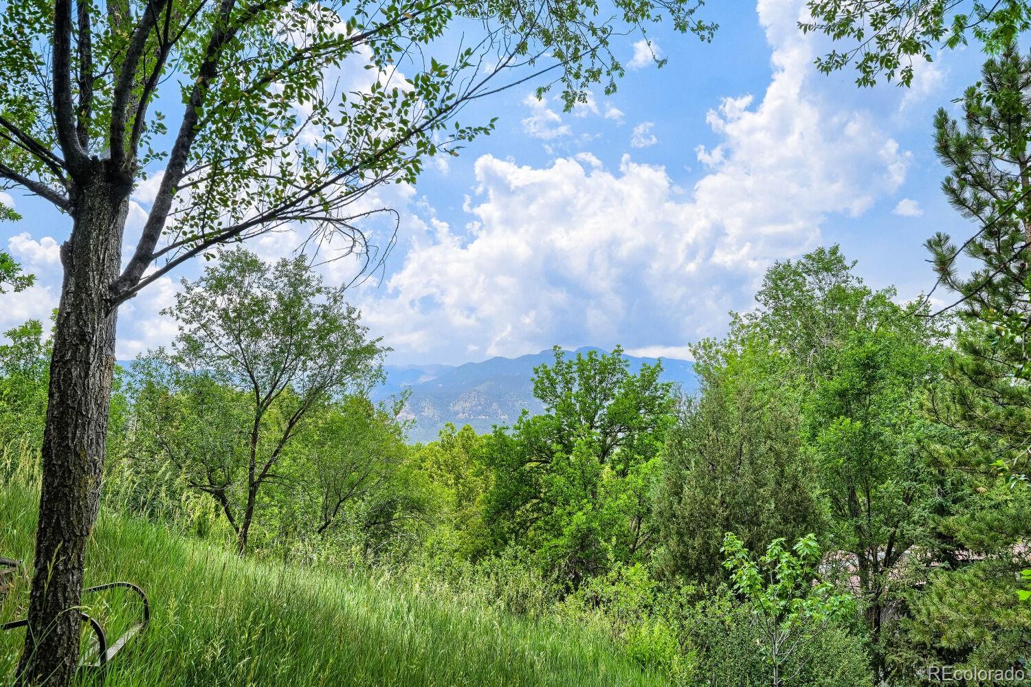 MLS Image #28 for 57  newport circle a,colorado springs, Colorado
