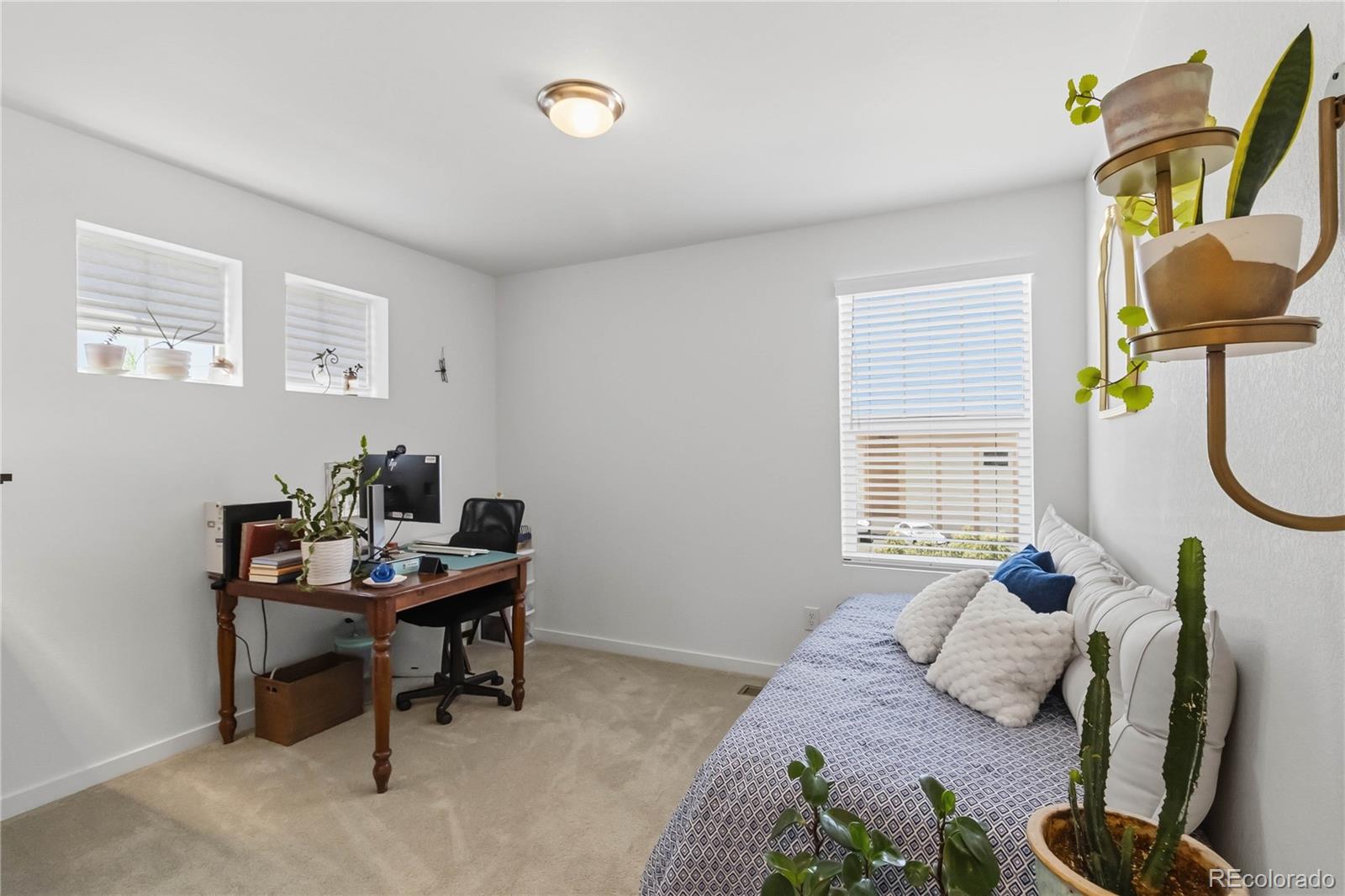 MLS Image #19 for 9090  franconia court,parker, Colorado
