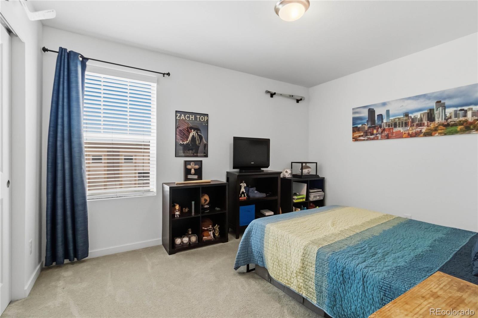 MLS Image #22 for 9090  franconia court,parker, Colorado