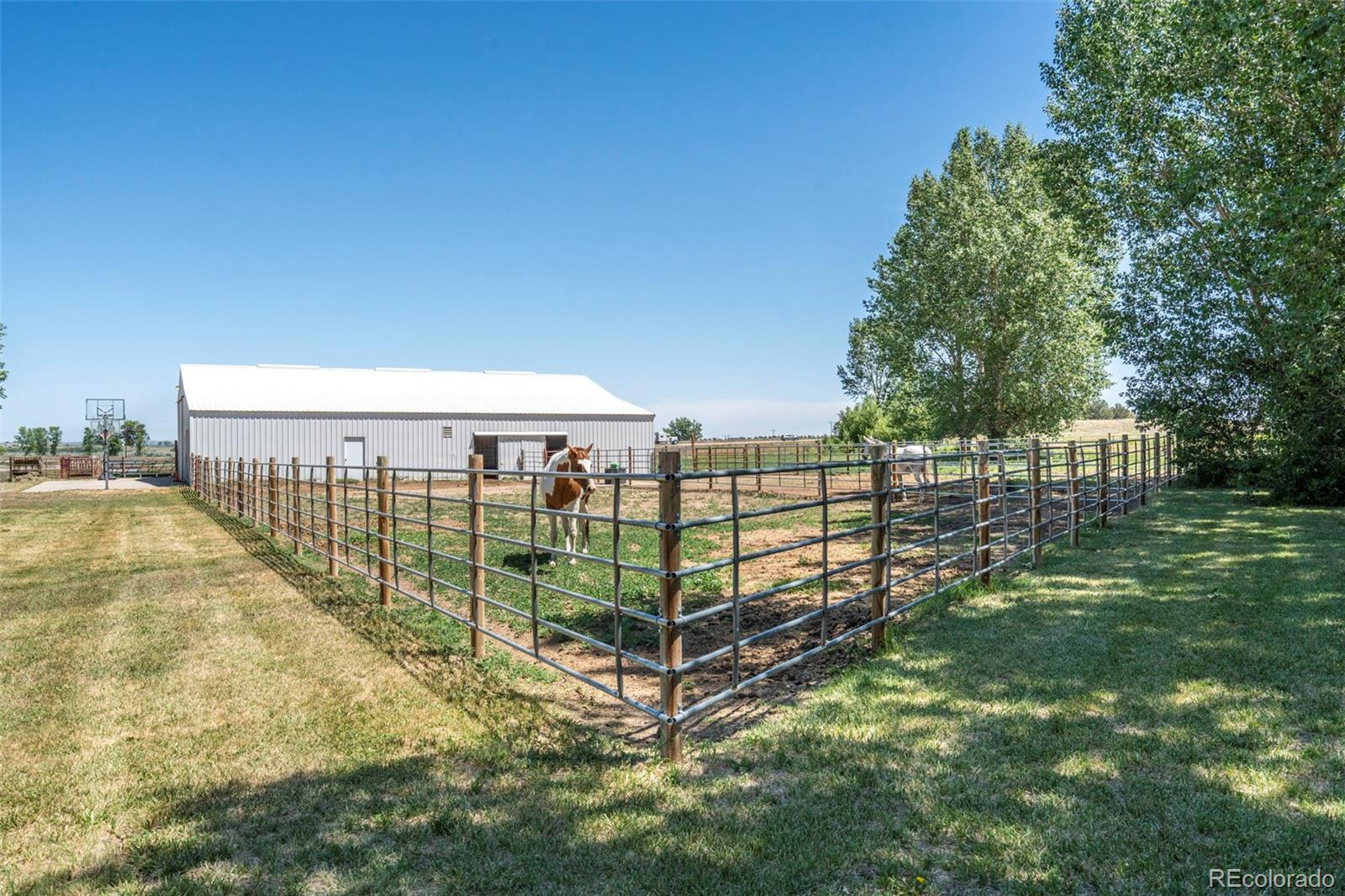 MLS Image #43 for 5946  county road 3 ,erie, Colorado