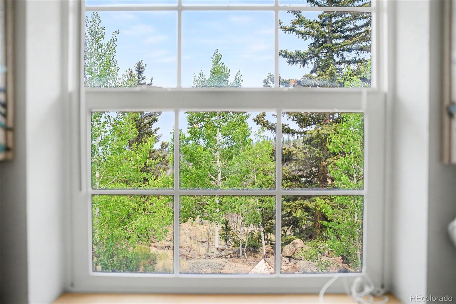 MLS Image #20 for 412  bordenville court,jefferson, Colorado
