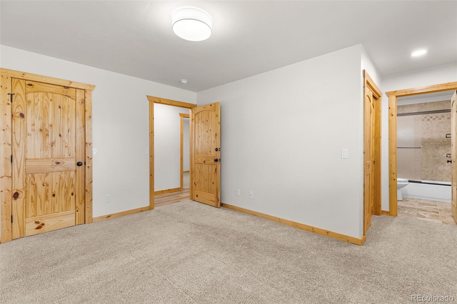 MLS Image #11 for 108  sheep ridge road,fairplay, Colorado