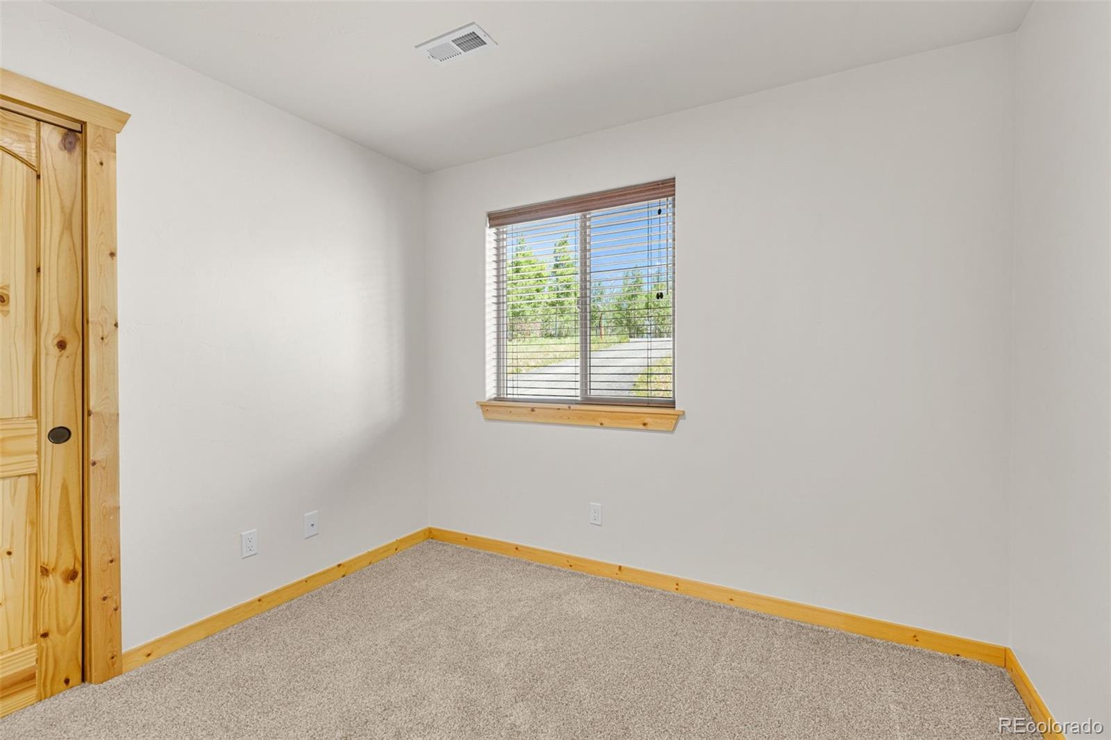 MLS Image #18 for 108  sheep ridge road,fairplay, Colorado