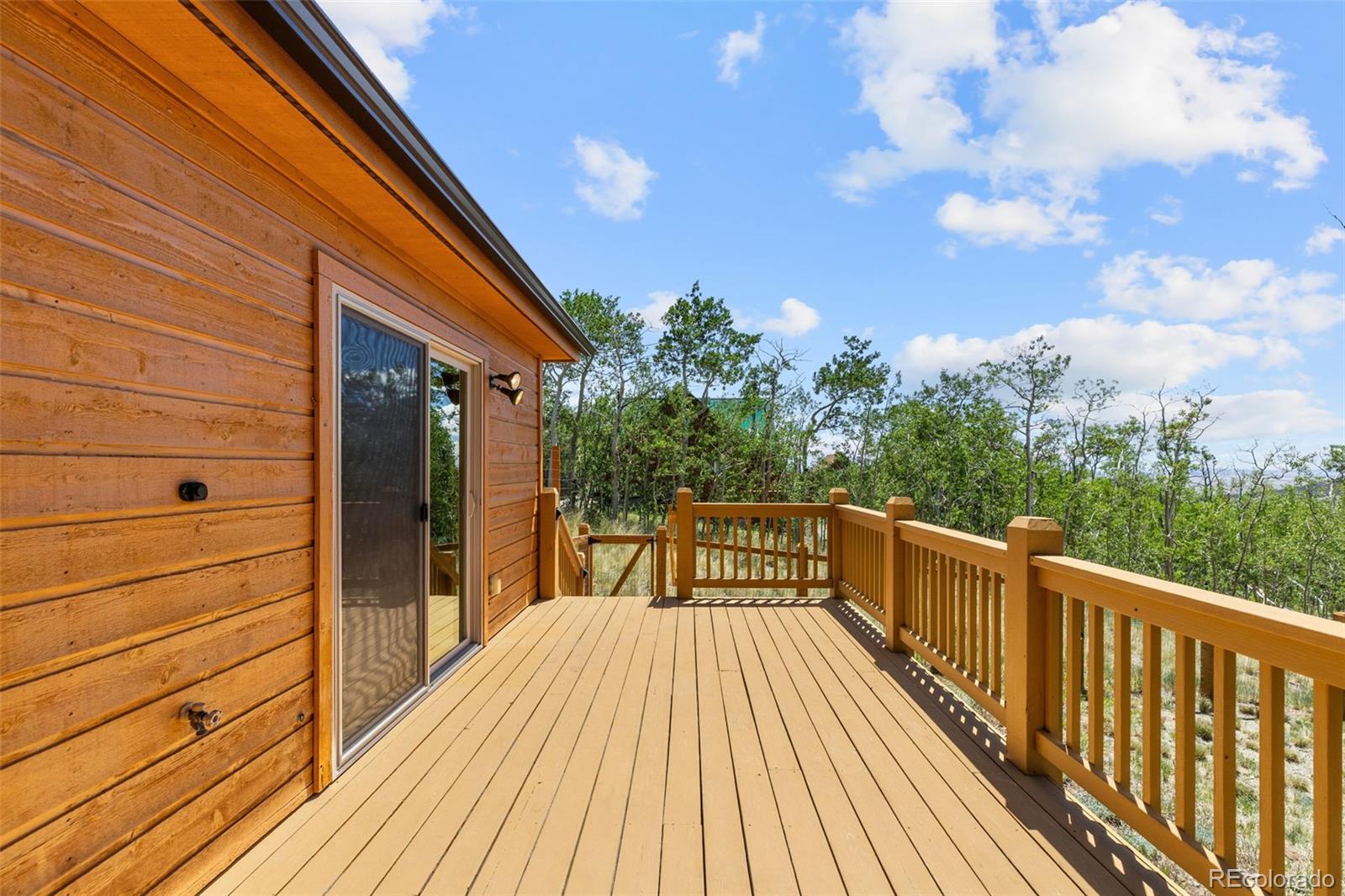 MLS Image #23 for 108  sheep ridge road,fairplay, Colorado