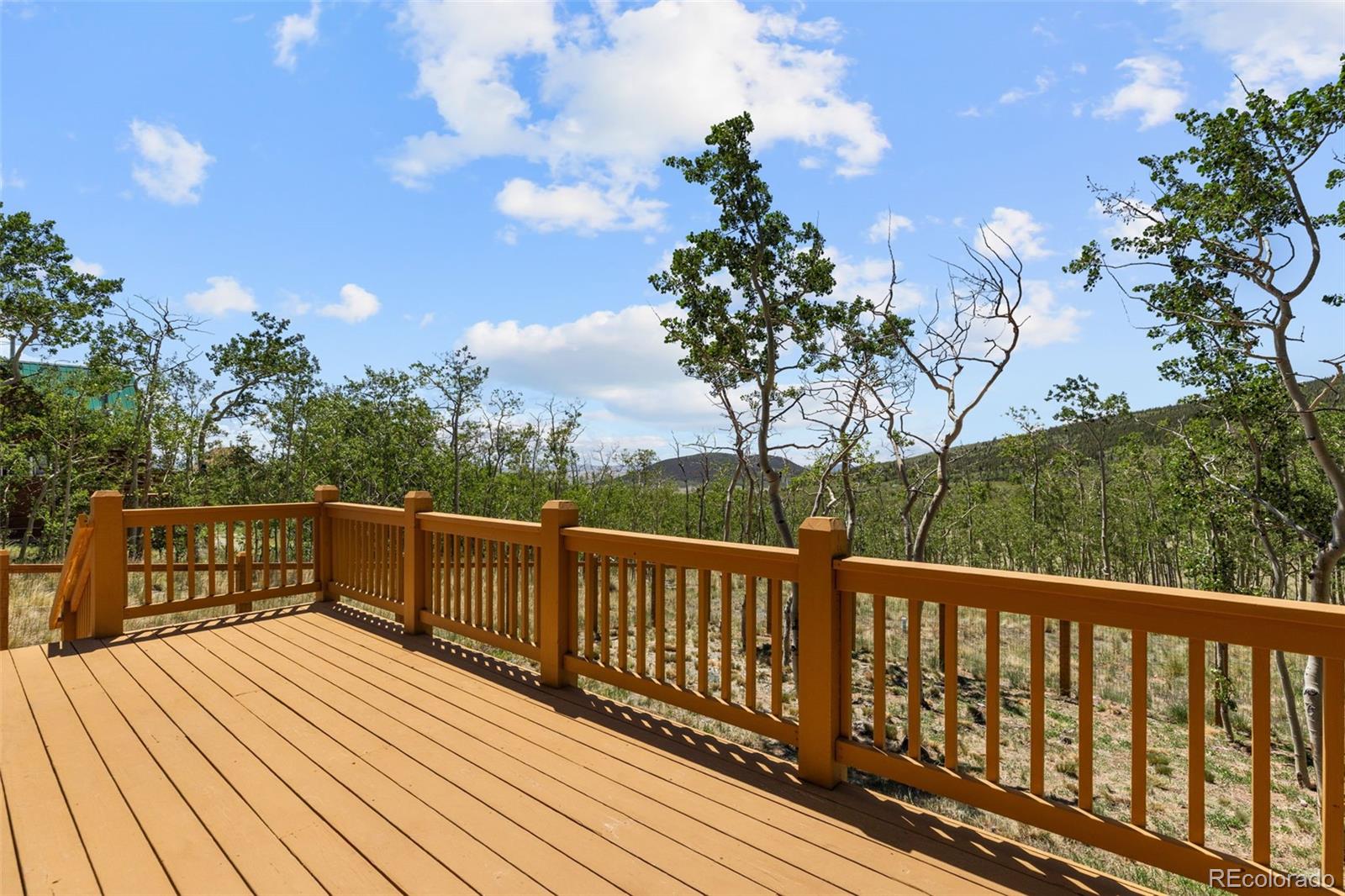 MLS Image #24 for 108  sheep ridge road,fairplay, Colorado