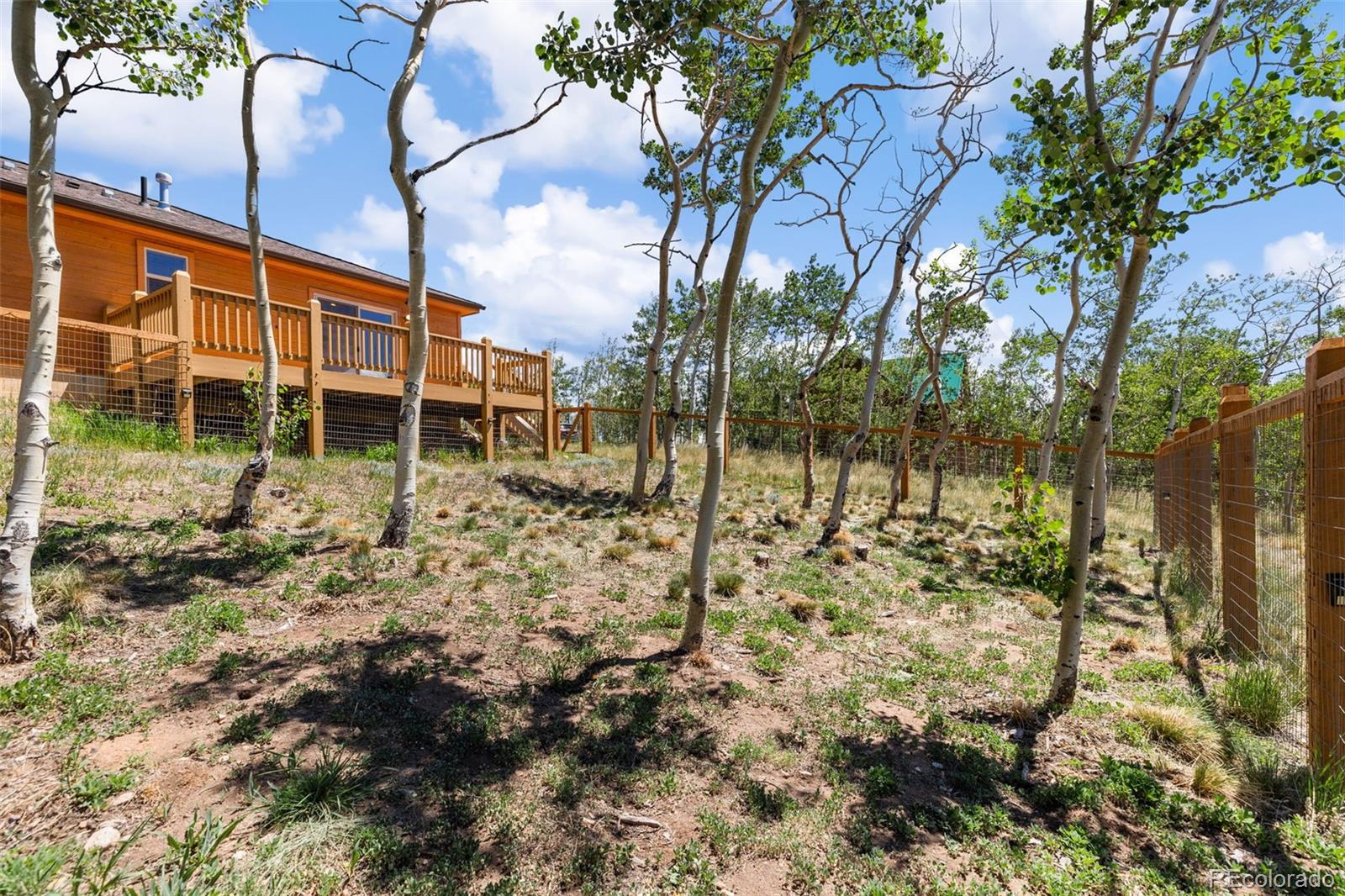 MLS Image #25 for 108  sheep ridge road,fairplay, Colorado