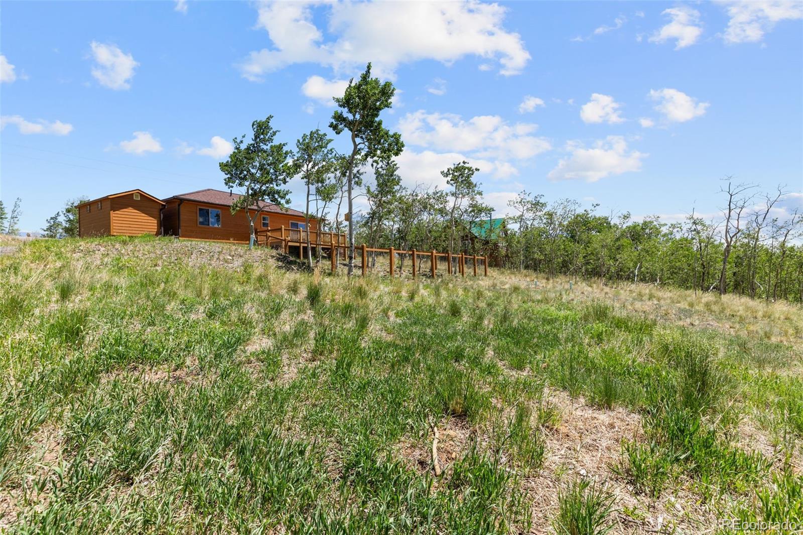 MLS Image #26 for 108  sheep ridge road,fairplay, Colorado