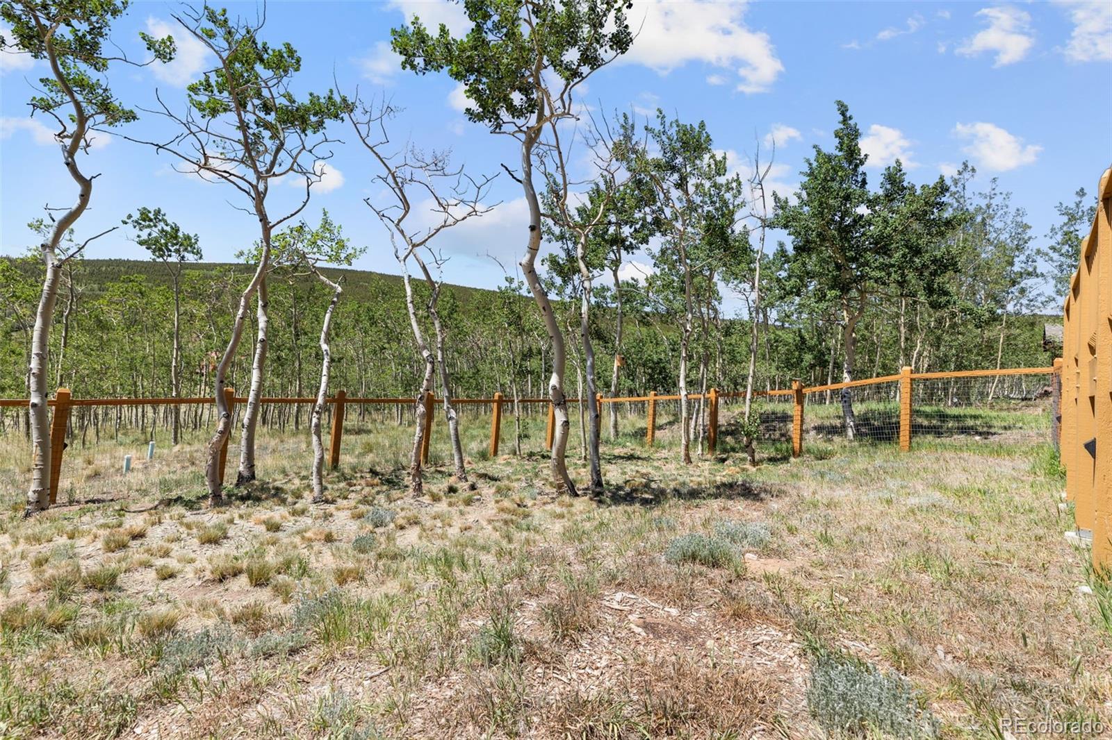 MLS Image #28 for 108  sheep ridge road,fairplay, Colorado