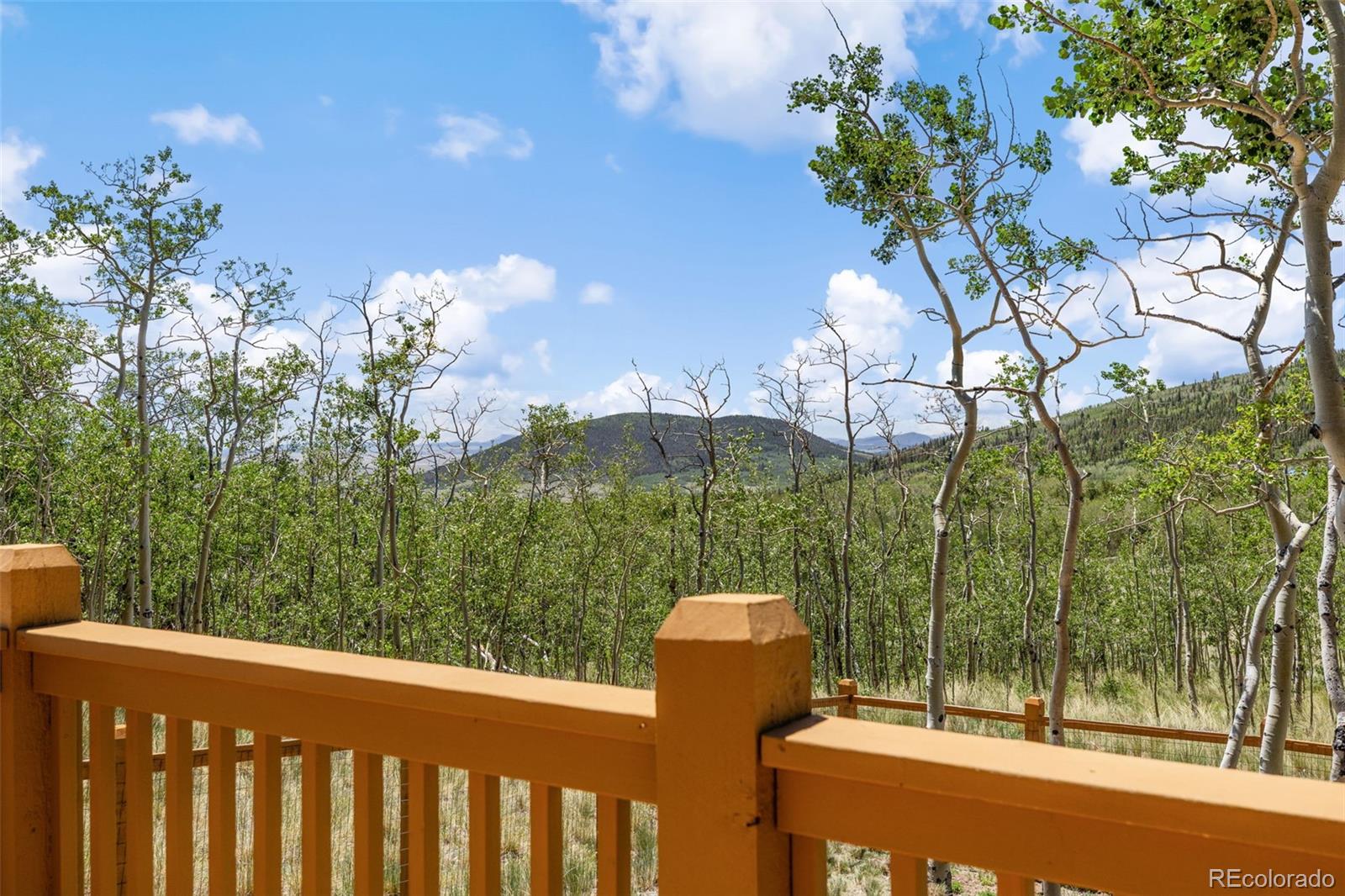 MLS Image #31 for 108  sheep ridge road,fairplay, Colorado