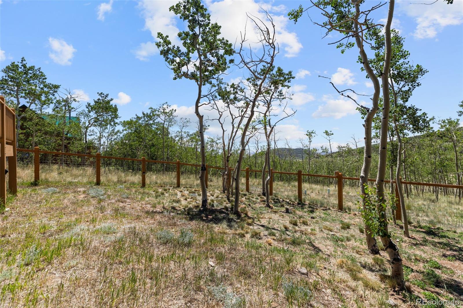 MLS Image #35 for 108  sheep ridge road,fairplay, Colorado