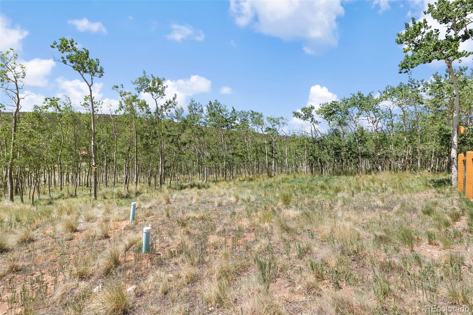 MLS Image #36 for 108  sheep ridge road,fairplay, Colorado