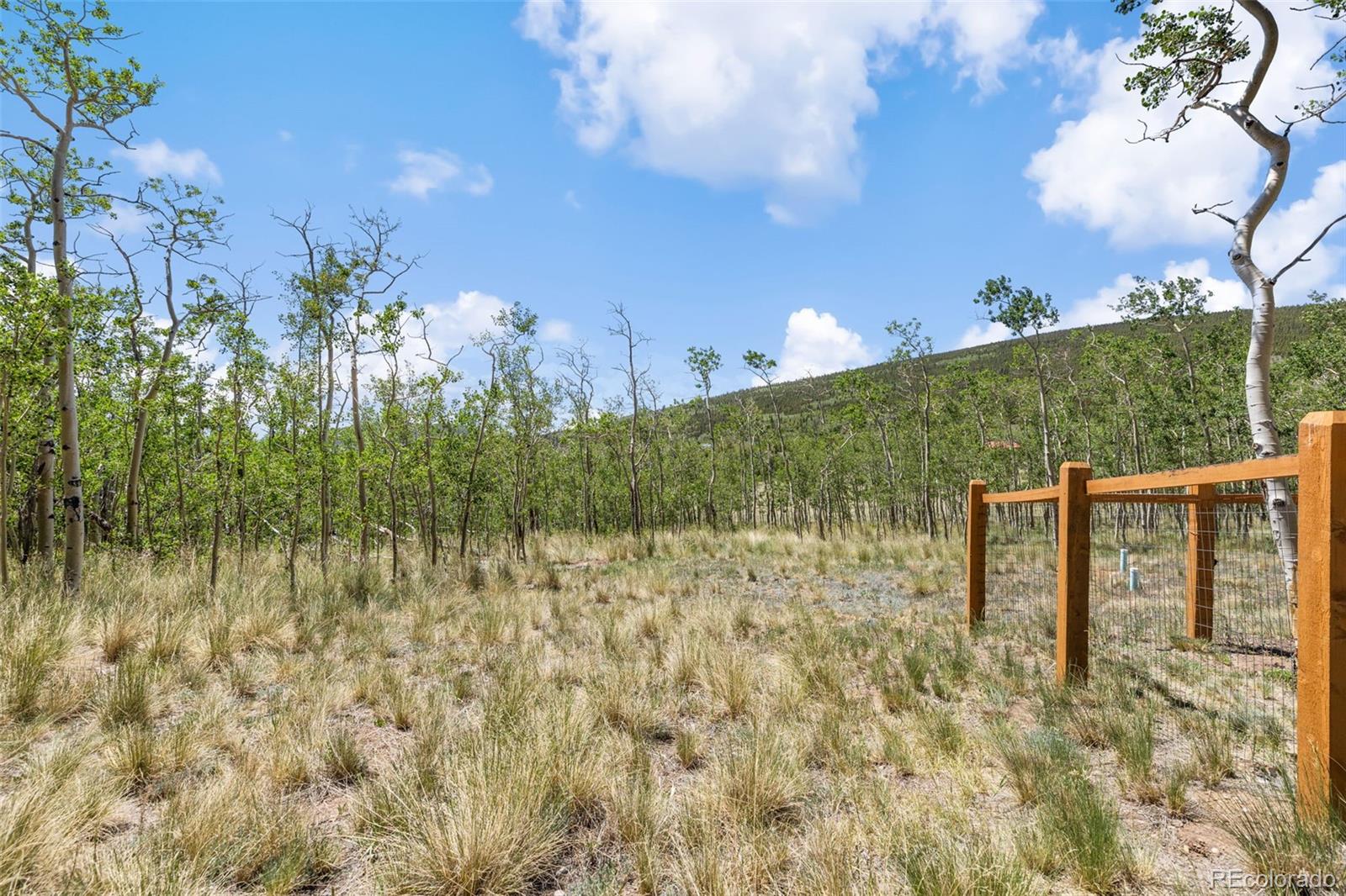 MLS Image #37 for 108  sheep ridge road,fairplay, Colorado