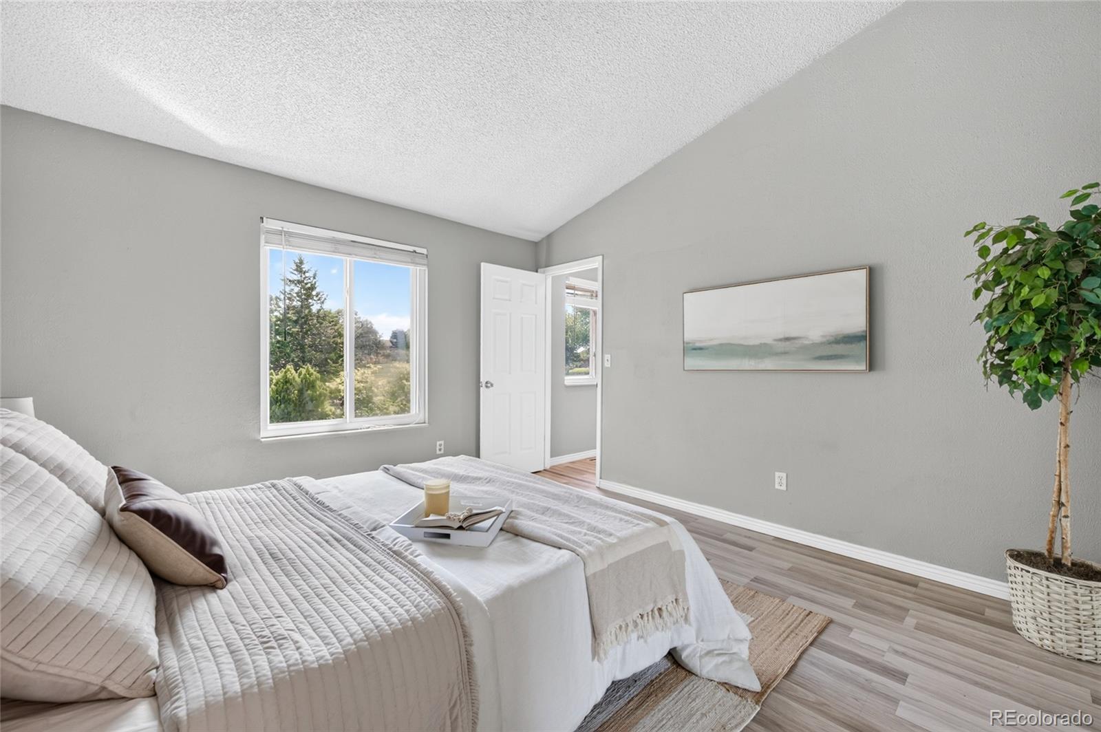 MLS Image #20 for 18313 e crestline circle,centennial, Colorado