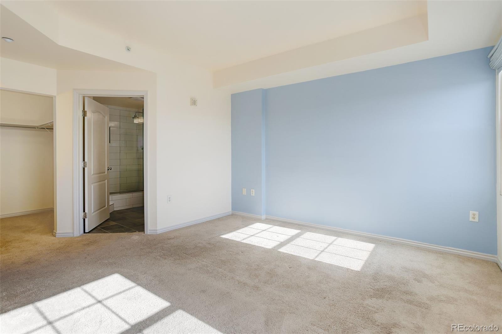 MLS Image #29 for 300 w 11th avenue,denver, Colorado