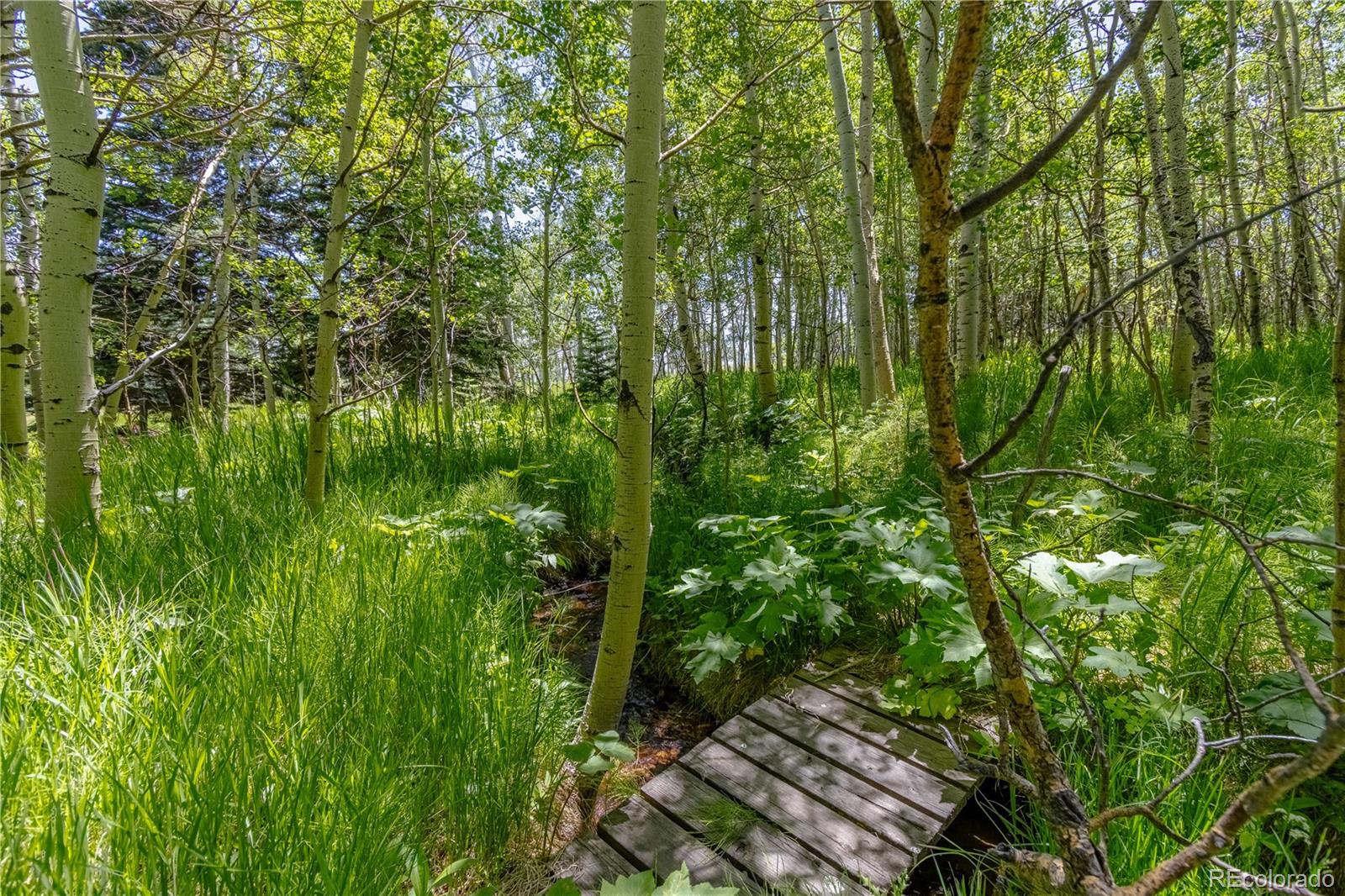 MLS Image #8 for 723  chalice drive,westcliffe, Colorado