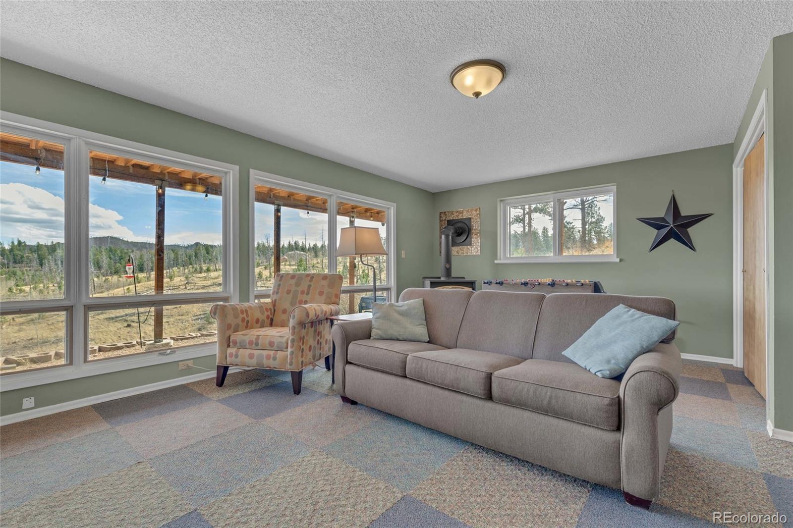 MLS Image #13 for 81  hedges circle,woodland park, Colorado