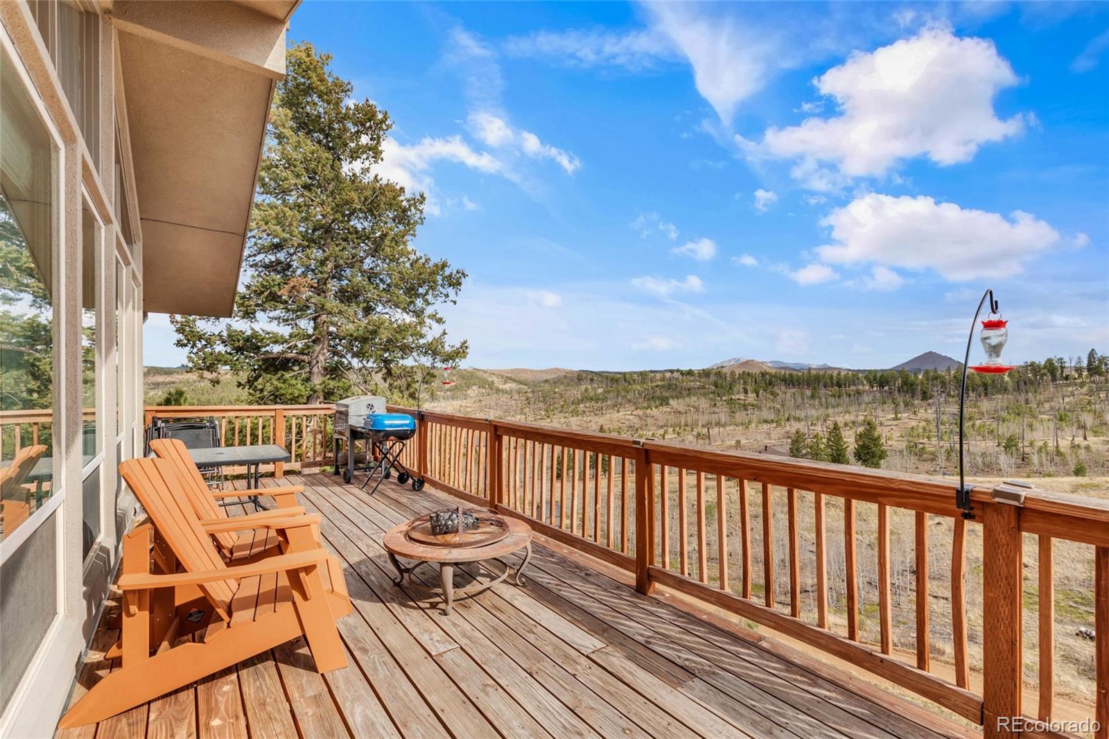 MLS Image #4 for 81  hedges circle,woodland park, Colorado