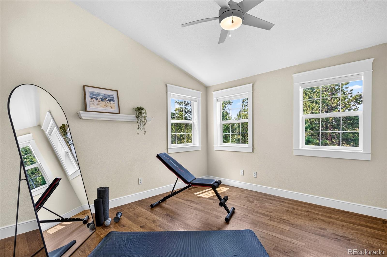 MLS Image #28 for 4342  mountain dance drive,colorado springs, Colorado