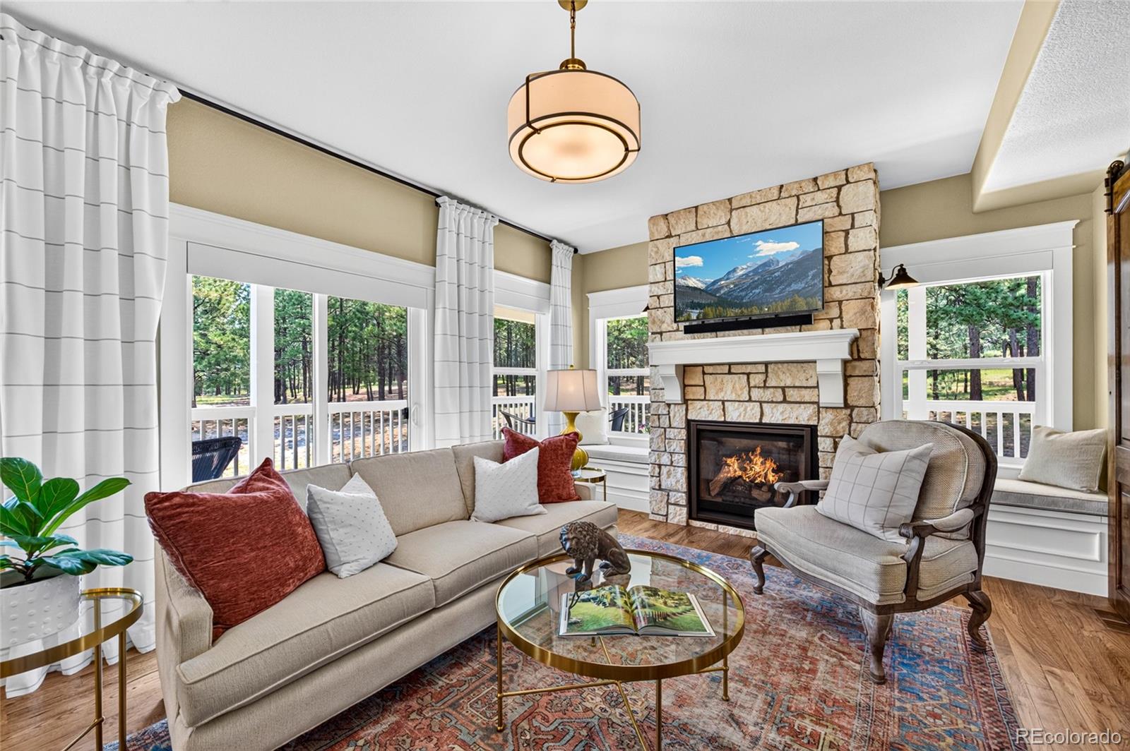 MLS Image #6 for 4342  mountain dance drive,colorado springs, Colorado