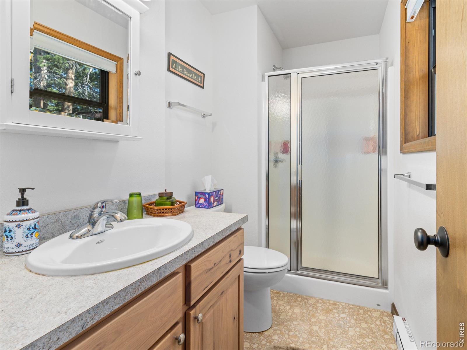 MLS Image #16 for 725  upper larkspur lane,estes park, Colorado