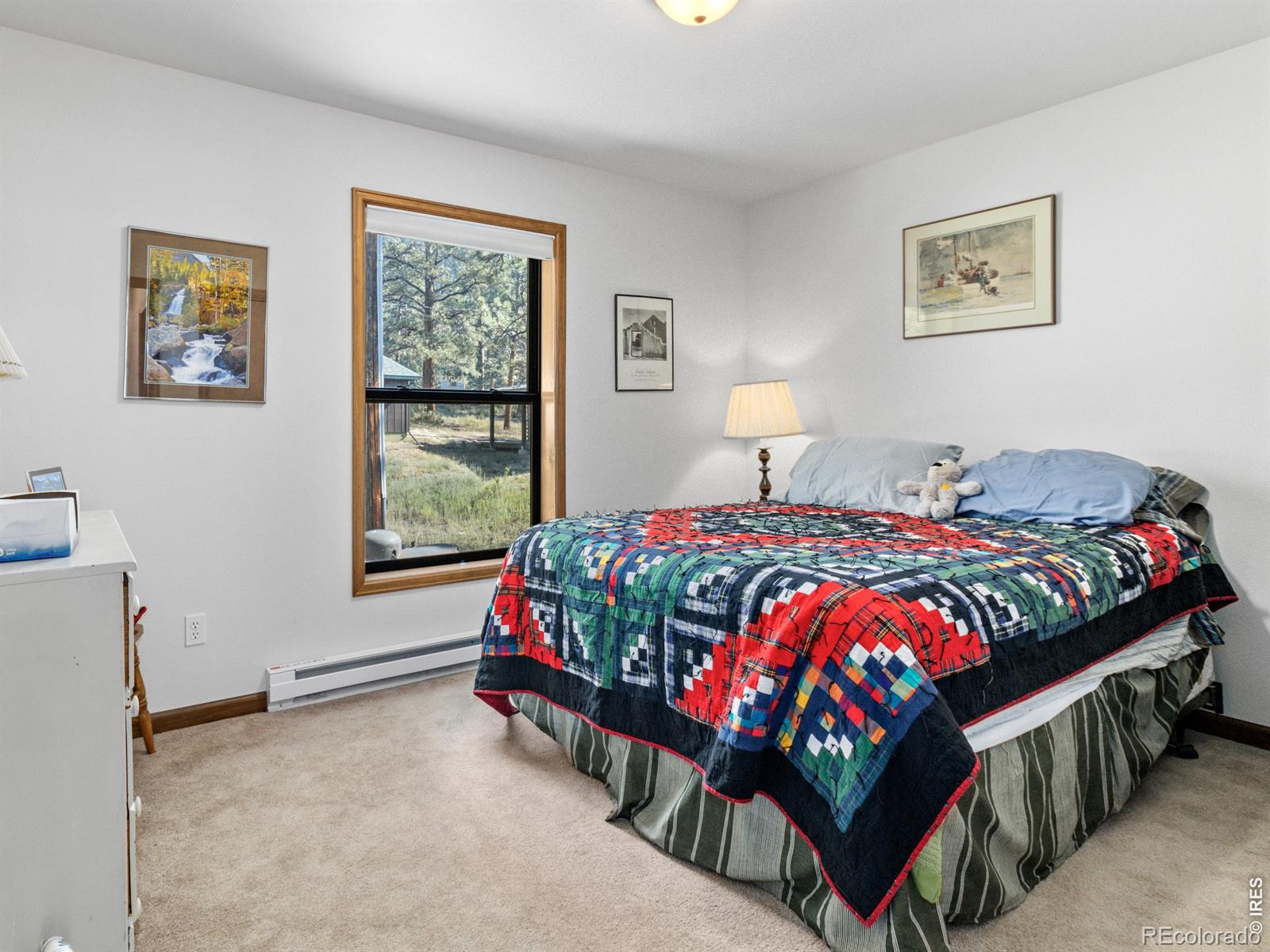 MLS Image #18 for 725  upper larkspur lane,estes park, Colorado