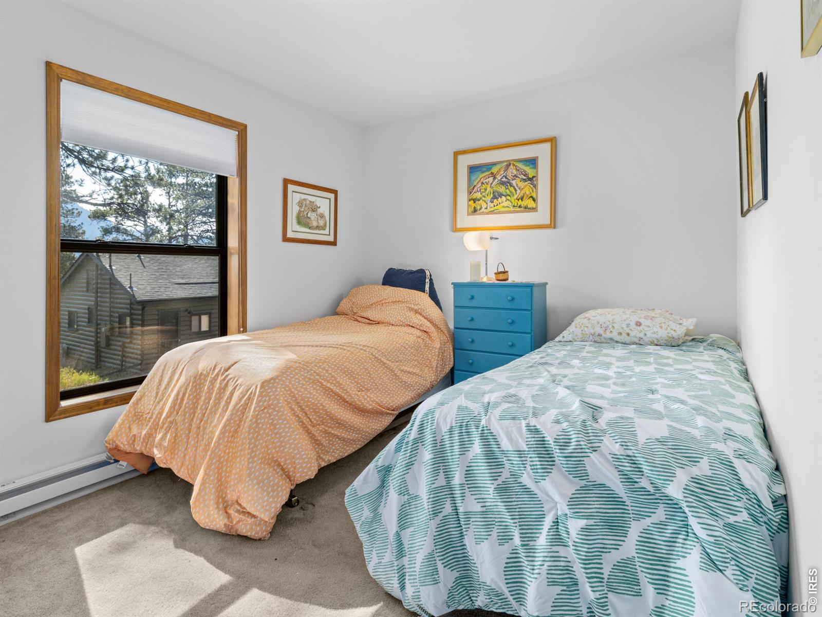 MLS Image #20 for 725  upper larkspur lane,estes park, Colorado