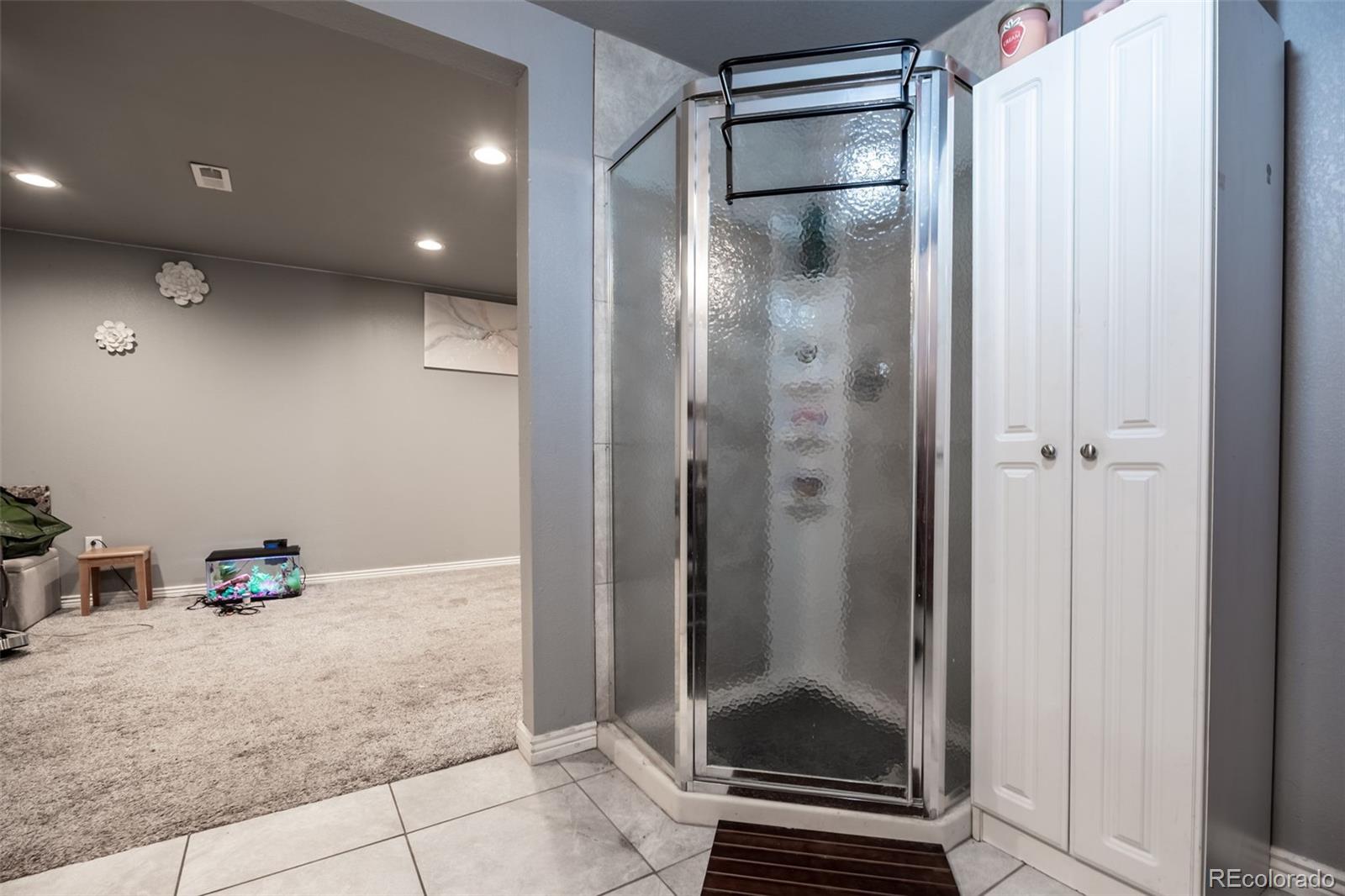 MLS Image #27 for 4725  topeka court,denver, Colorado