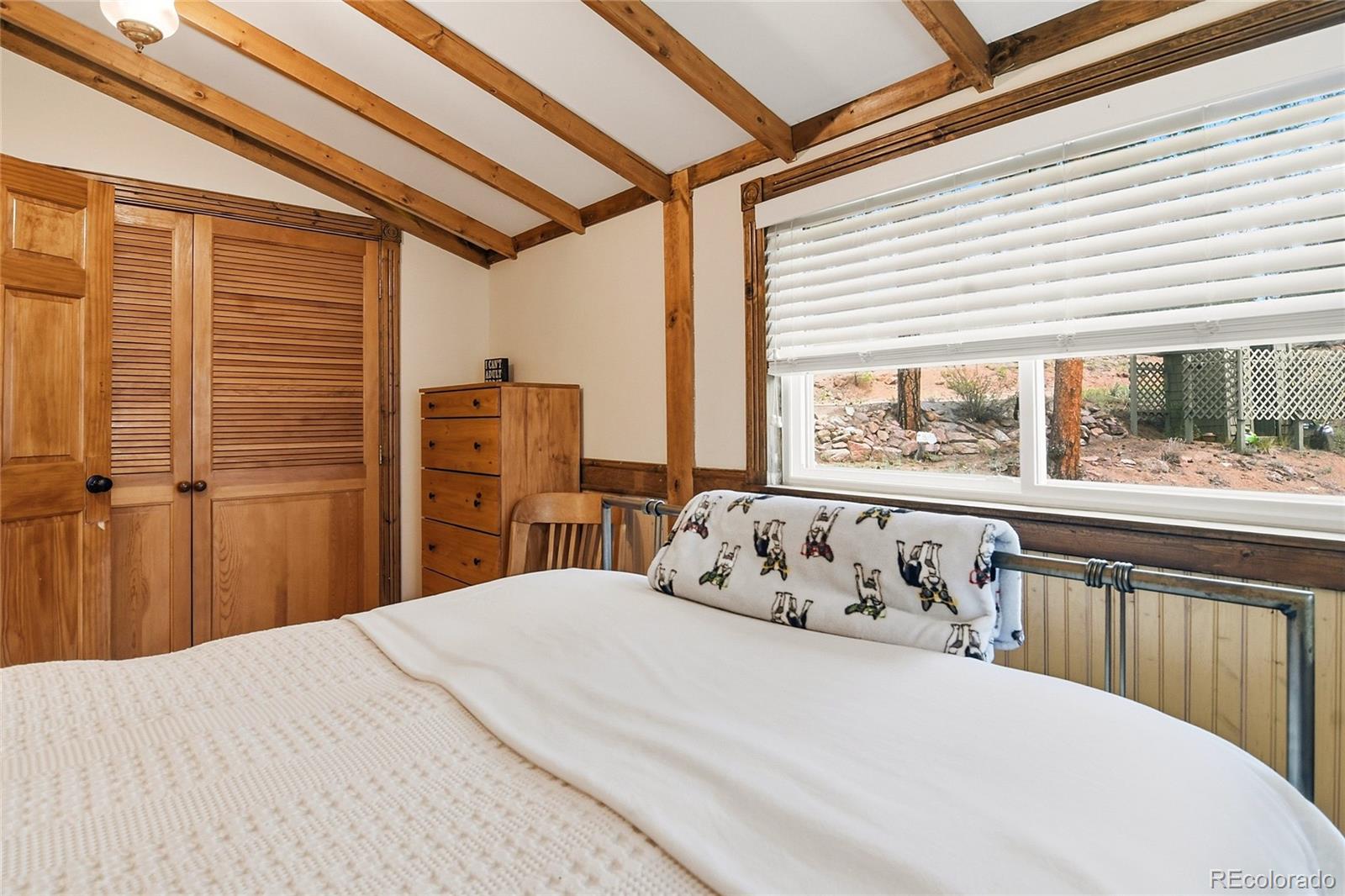 MLS Image #18 for 23935  hilltop road,pine, Colorado