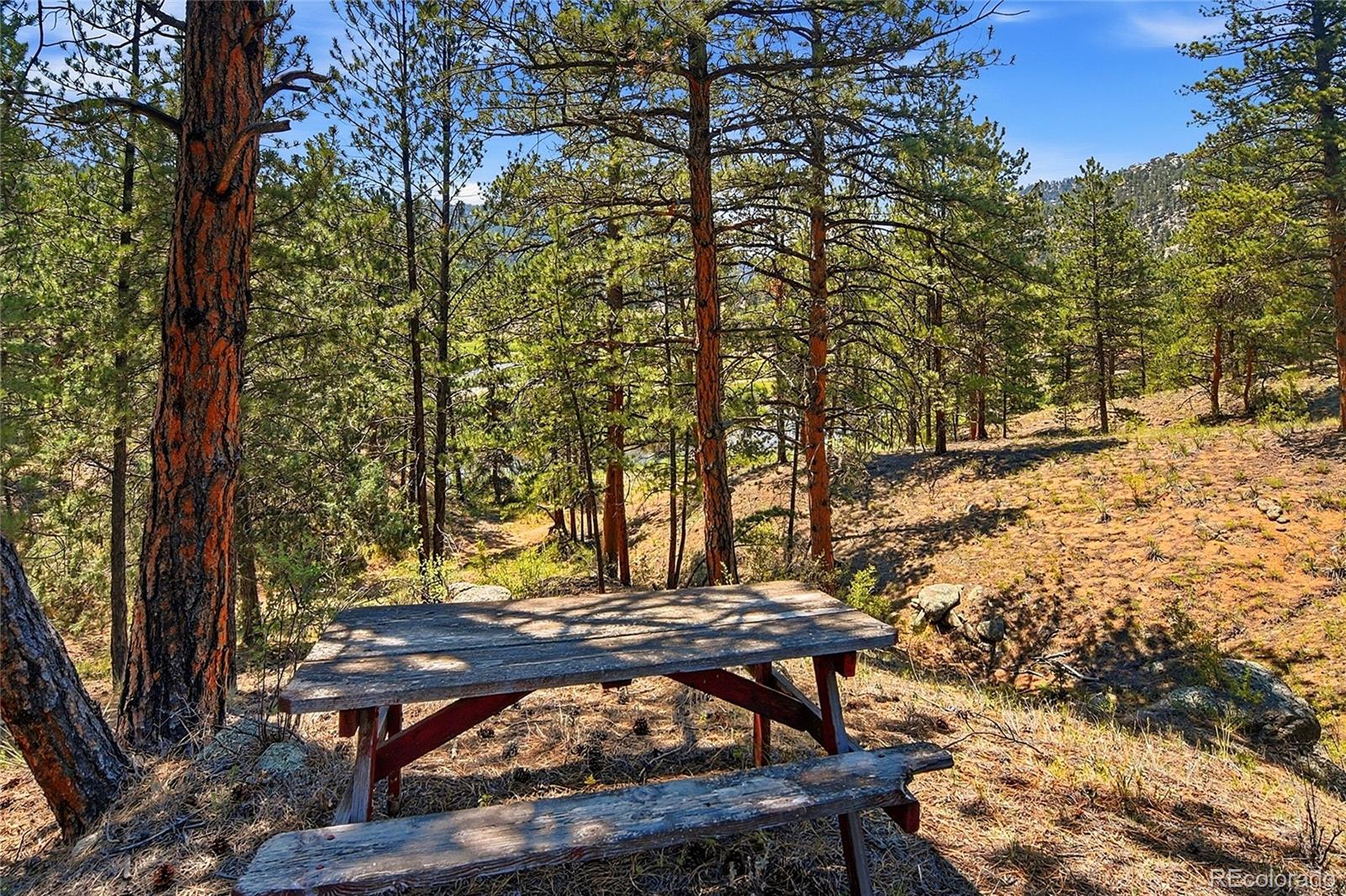 MLS Image #39 for 23935  hilltop road,pine, Colorado