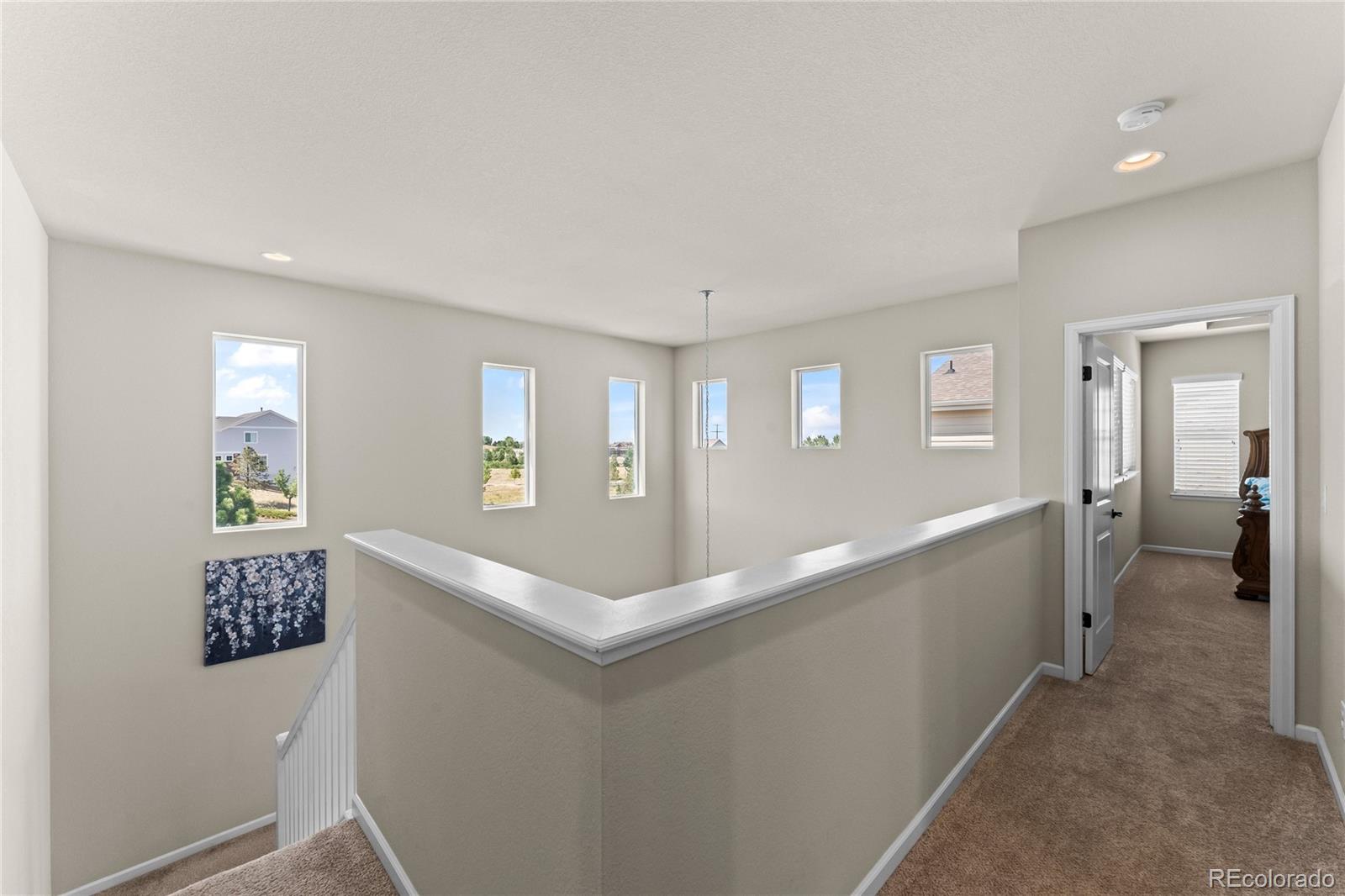 MLS Image #23 for 3851  long rifle drive,castle rock, Colorado