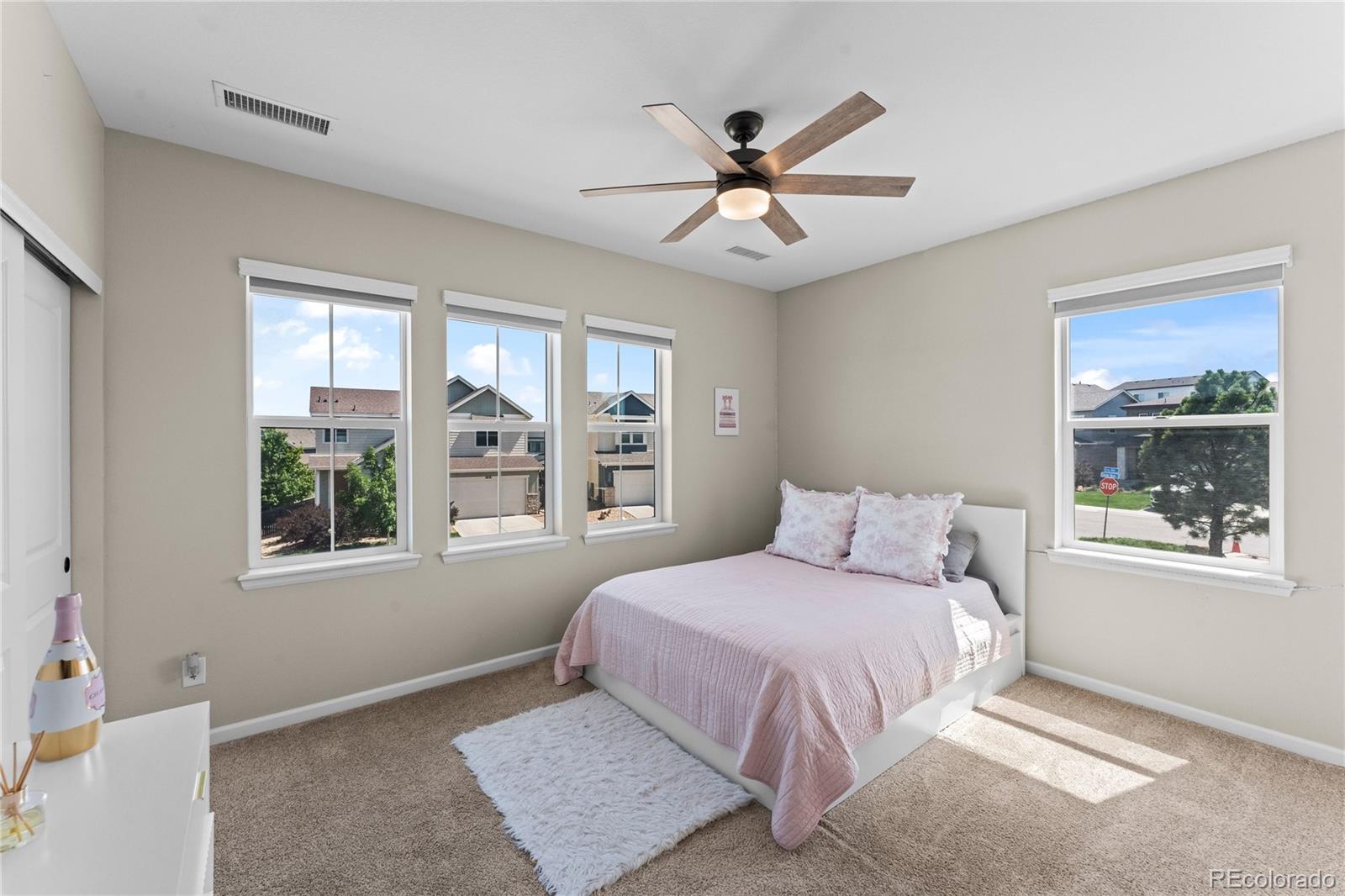 MLS Image #27 for 3851  long rifle drive,castle rock, Colorado
