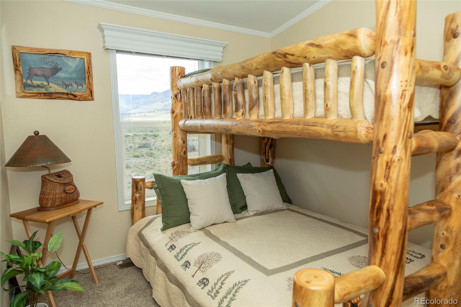 MLS Image #11 for 467  apex drive,creede, Colorado