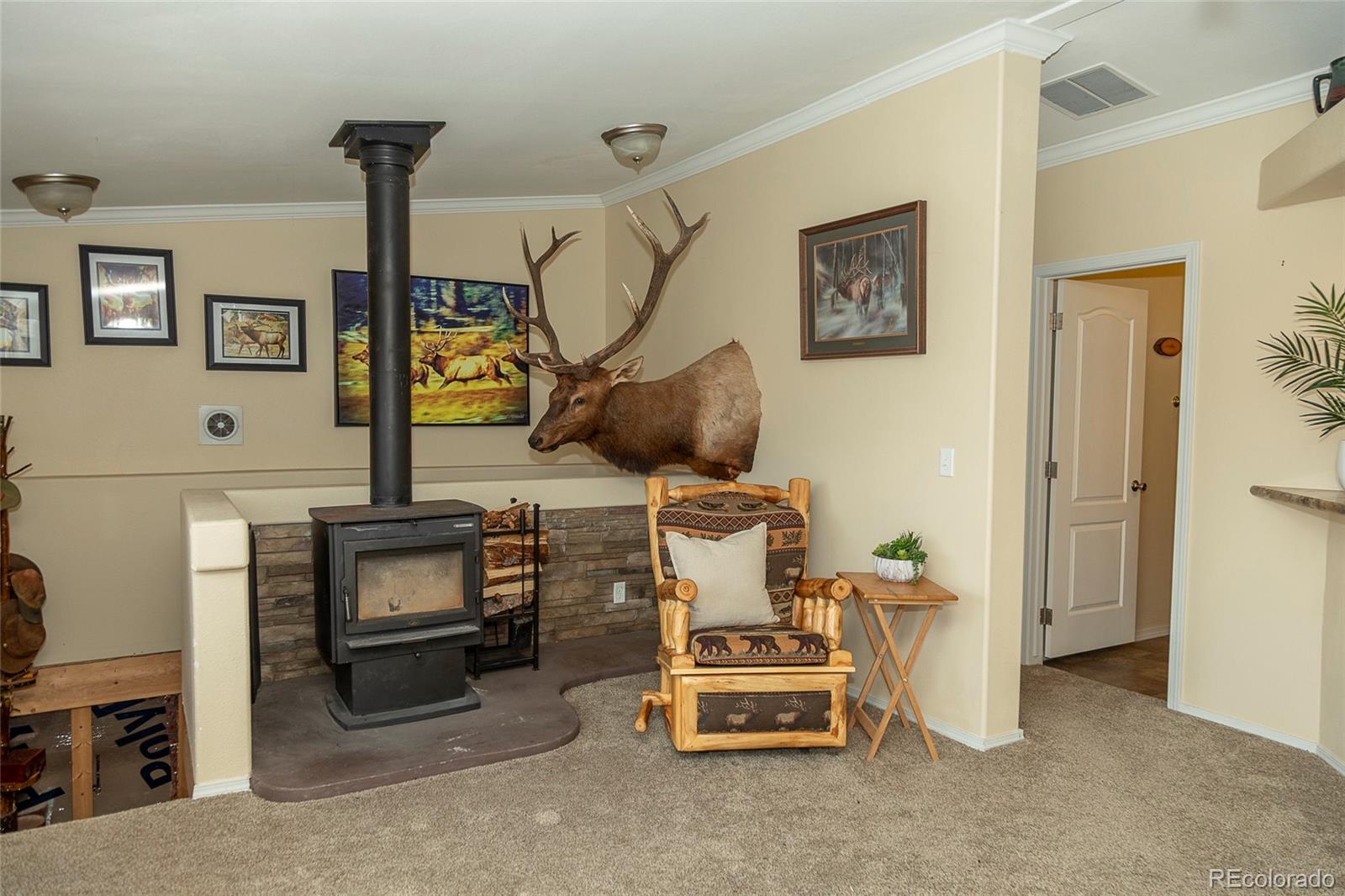 MLS Image #3 for 467  apex drive,creede, Colorado