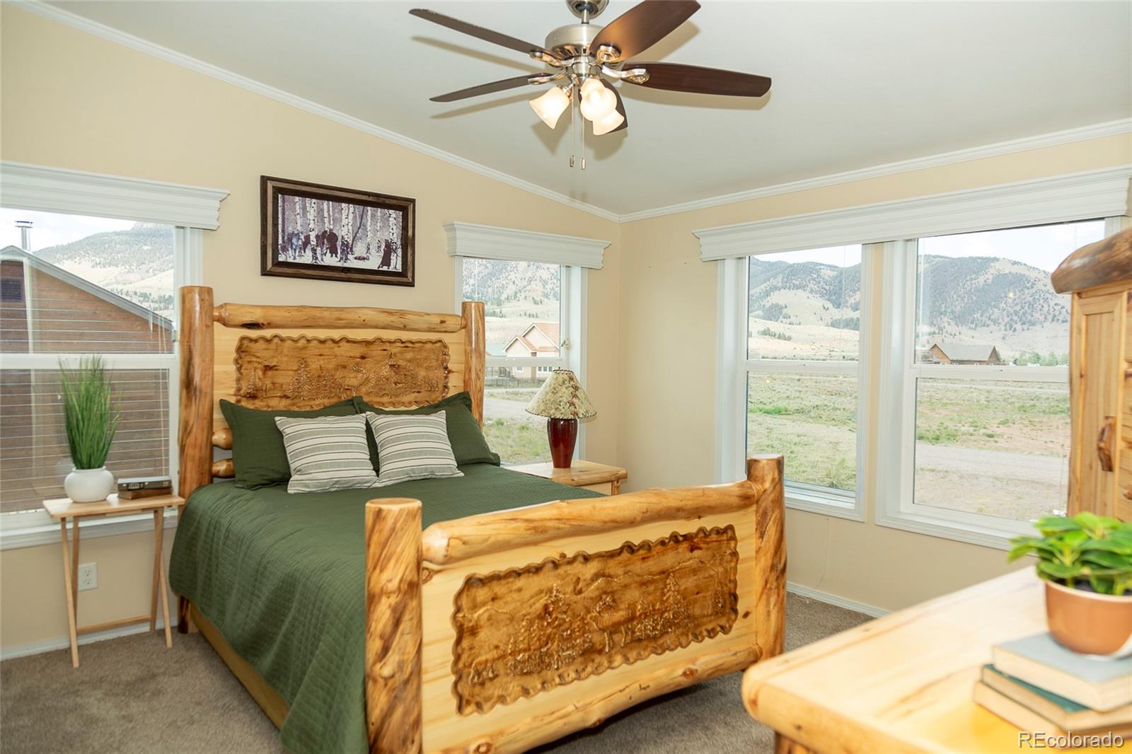 MLS Image #4 for 467  apex drive,creede, Colorado
