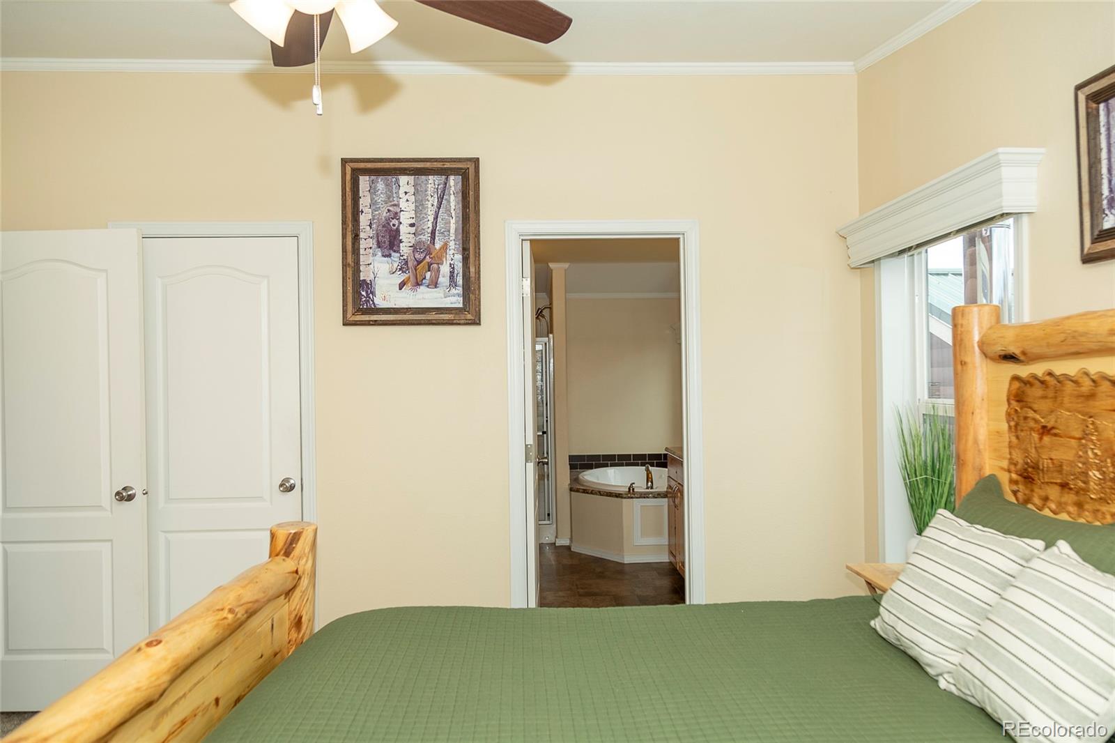 MLS Image #5 for 467  apex drive,creede, Colorado