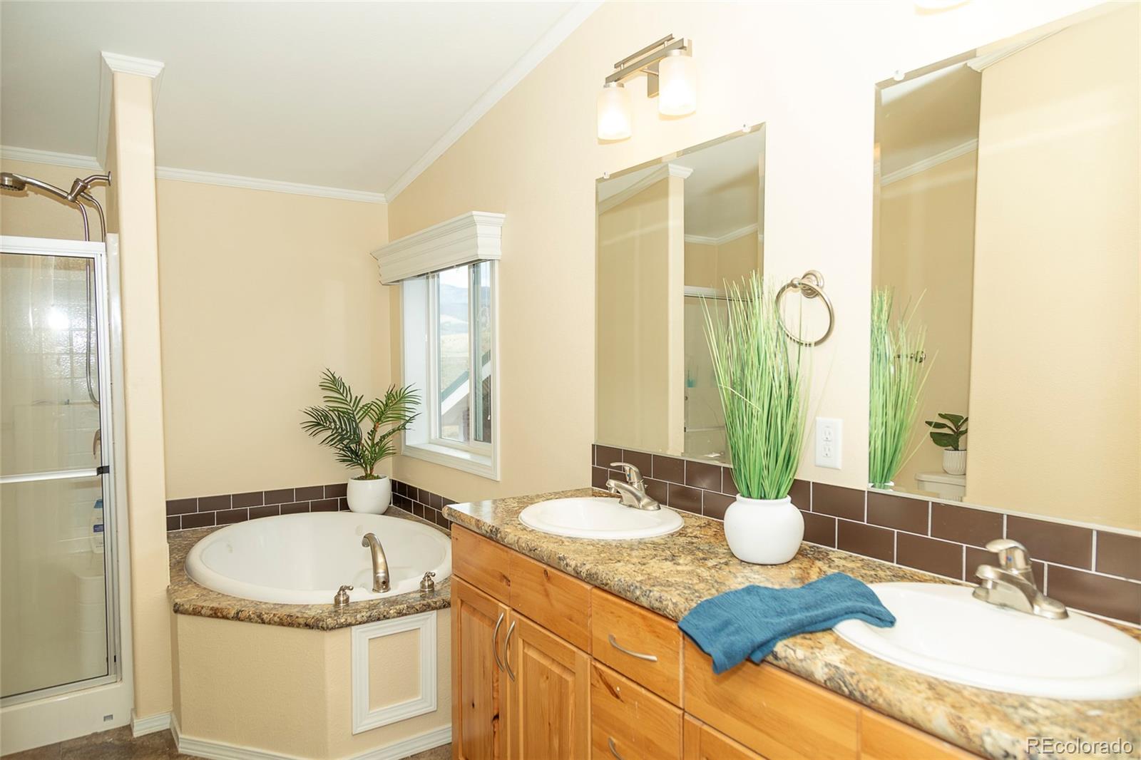 MLS Image #7 for 467  apex drive,creede, Colorado