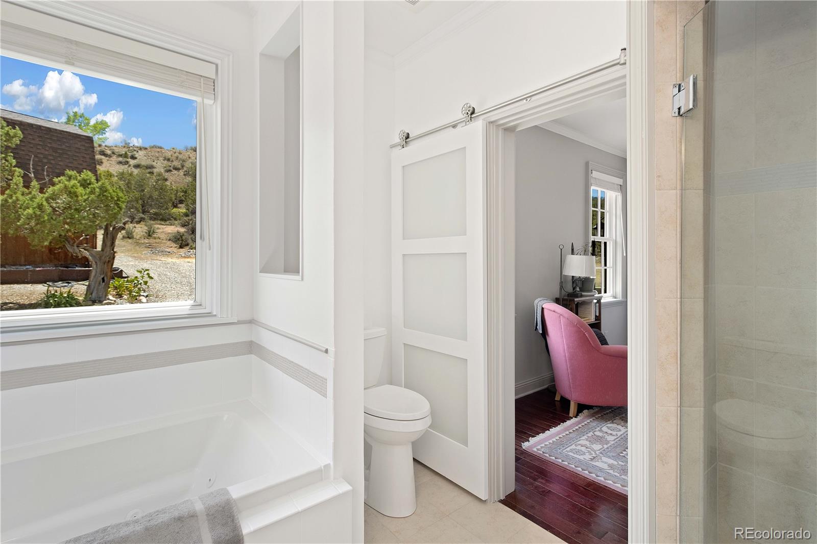 MLS Image #23 for 350  cedar hills road,silt, Colorado
