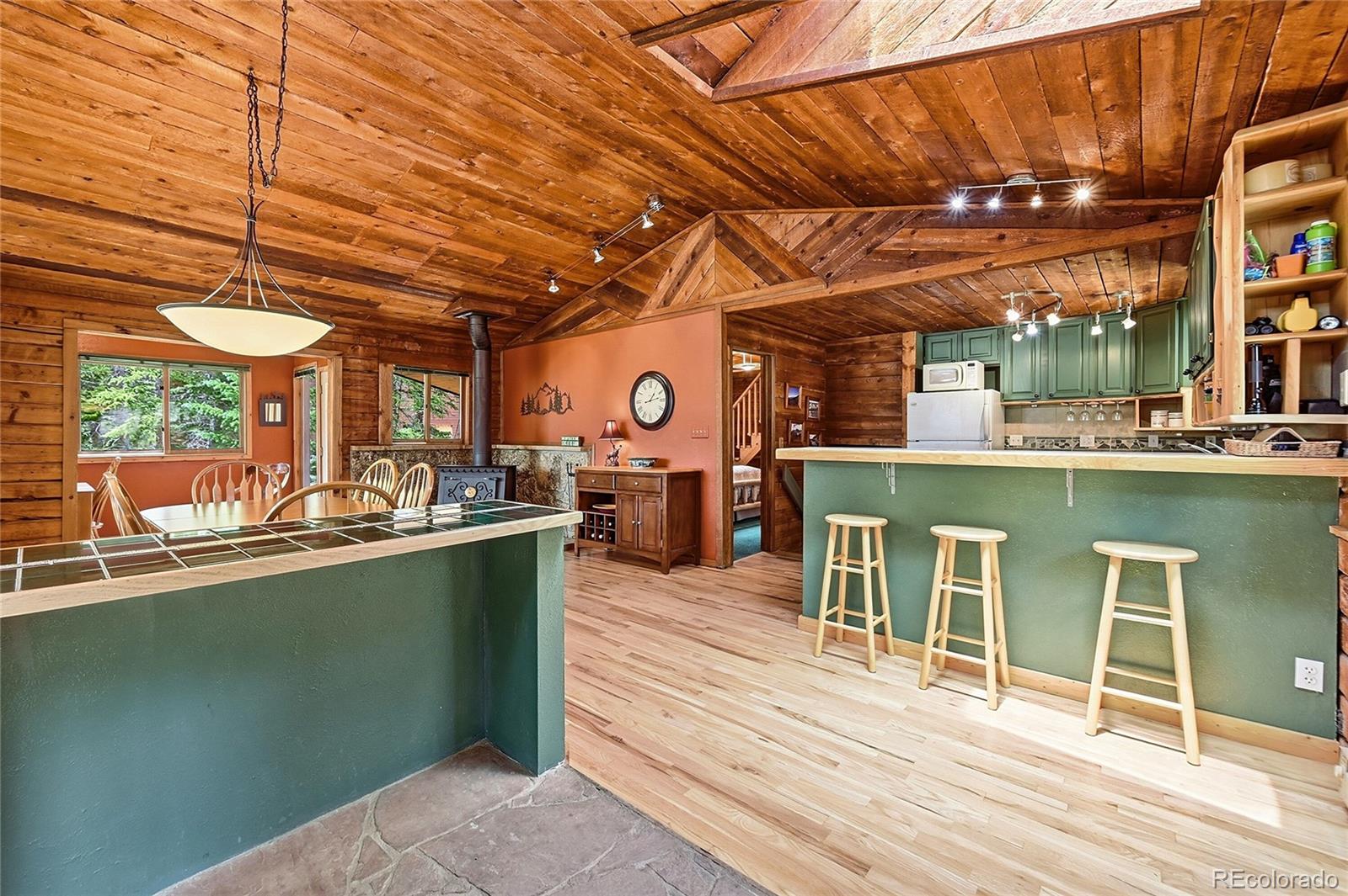 MLS Image #19 for 353  brook drive,idaho springs, Colorado
