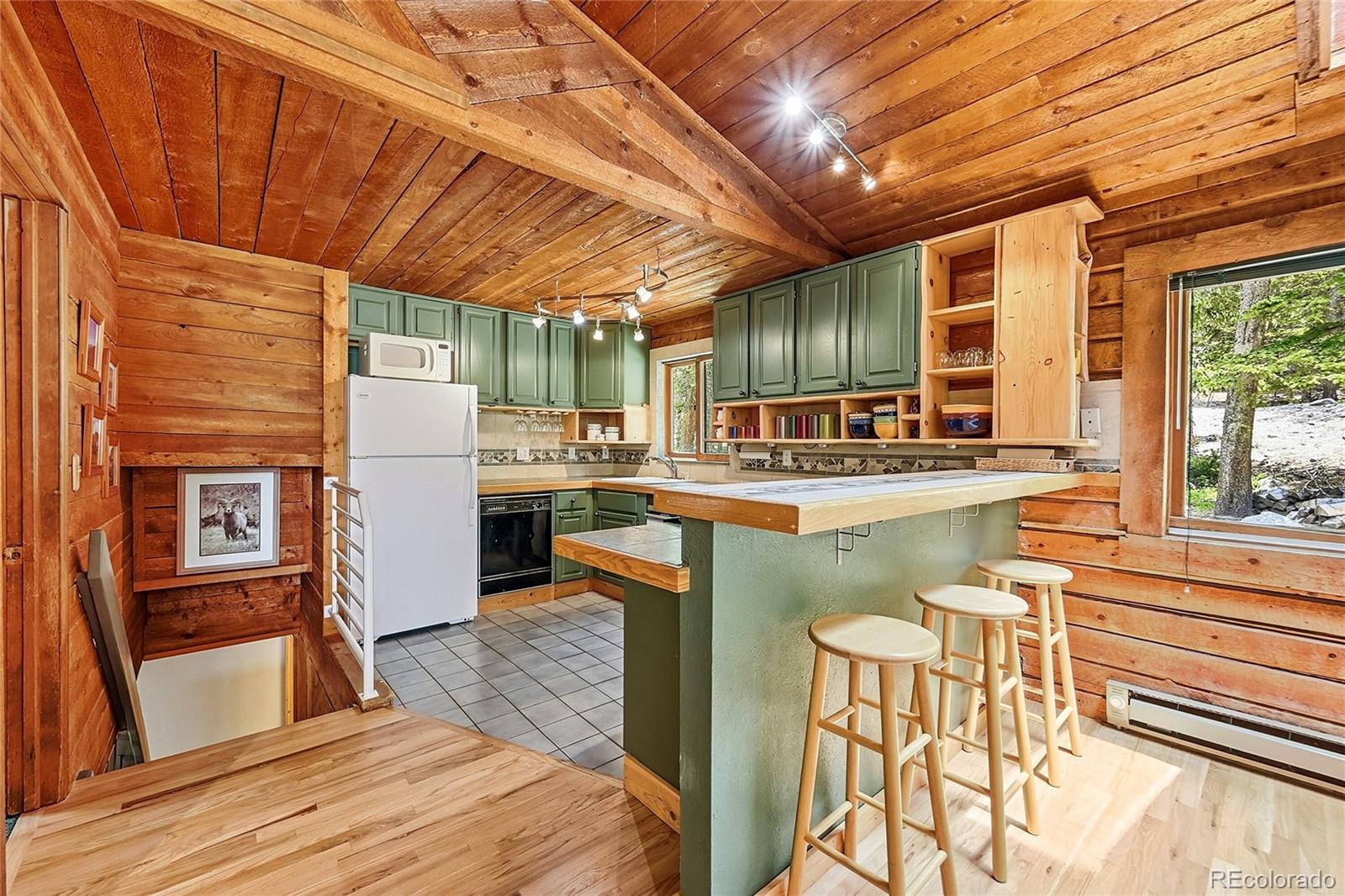 MLS Image #20 for 353  brook drive,idaho springs, Colorado