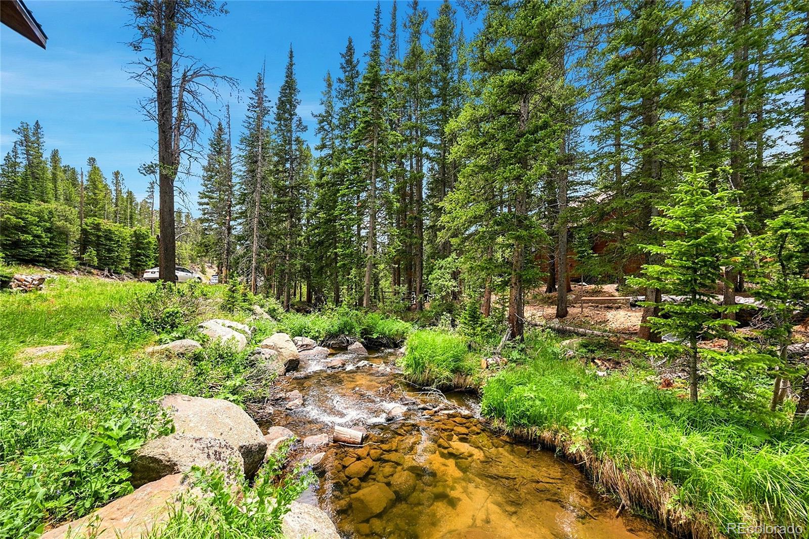 MLS Image #4 for 353  brook drive,idaho springs, Colorado