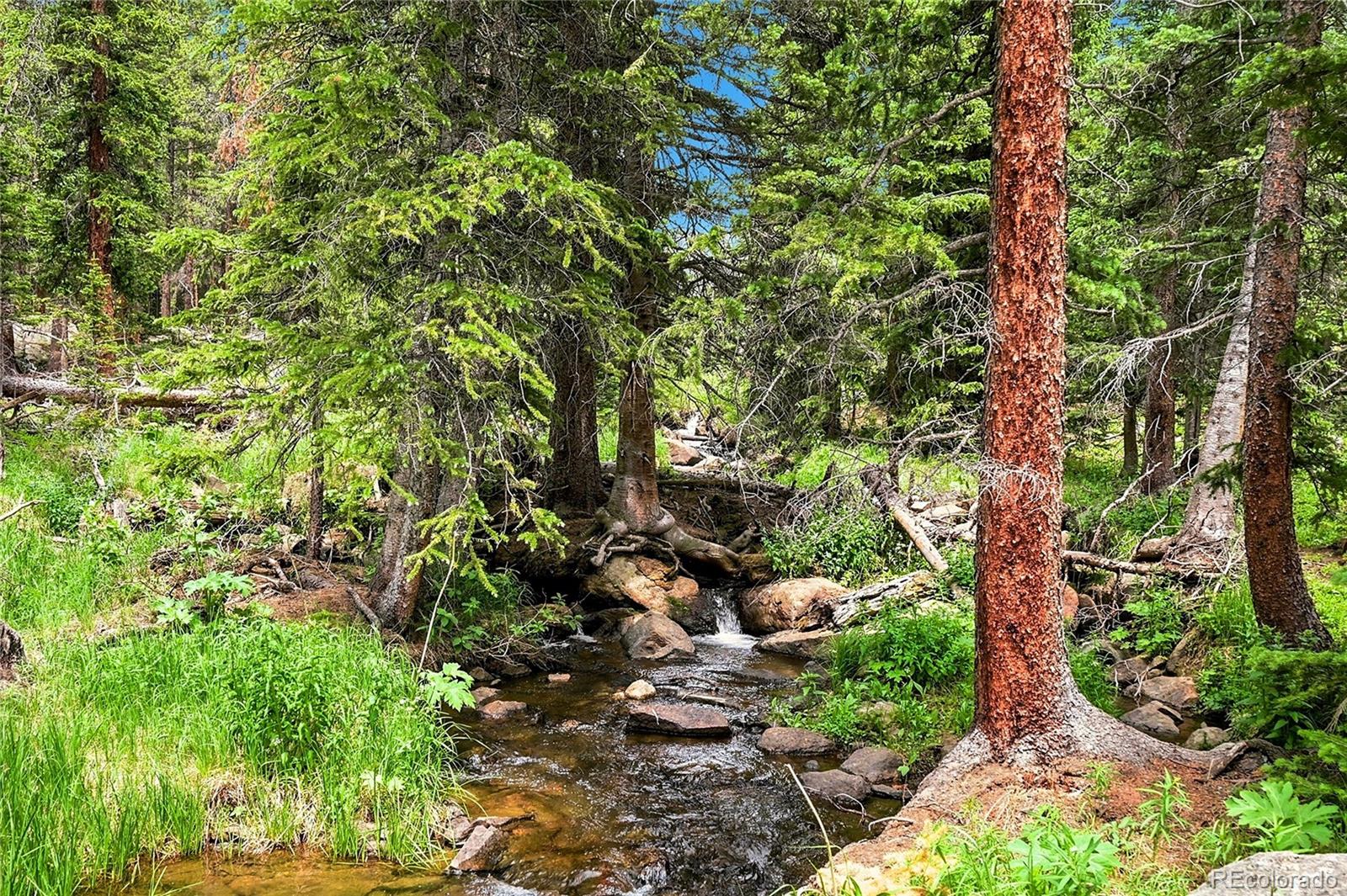 MLS Image #5 for 353  brook drive,idaho springs, Colorado