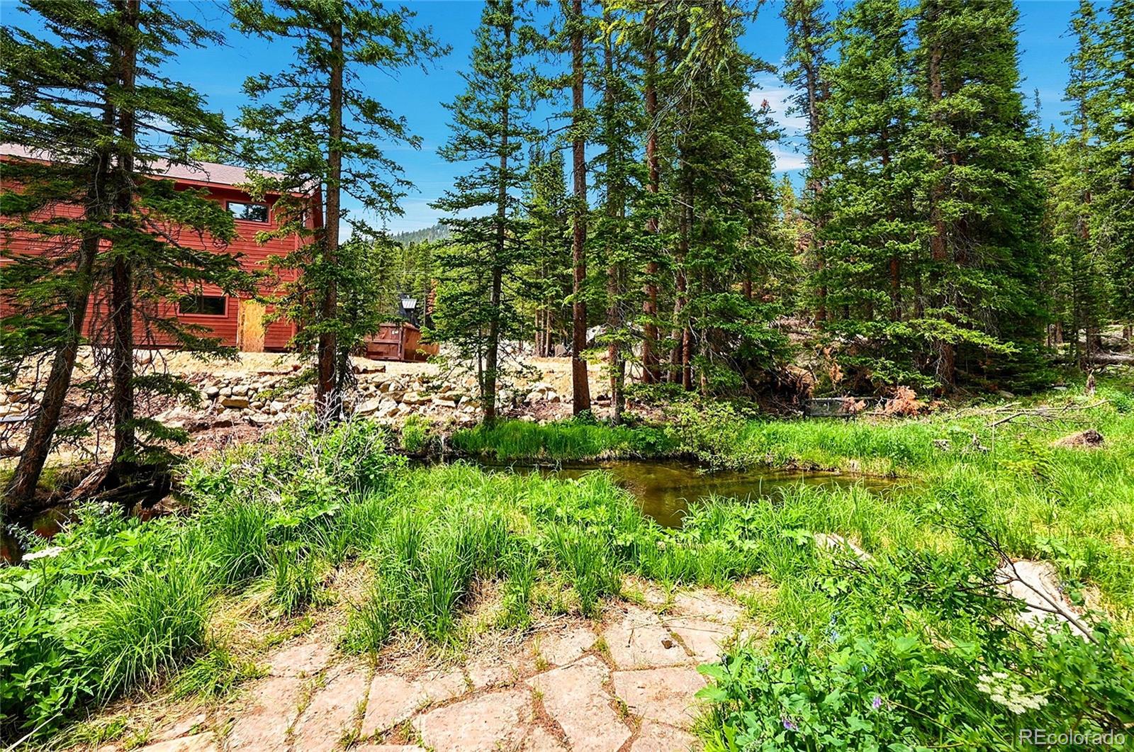 MLS Image #6 for 353  brook drive,idaho springs, Colorado