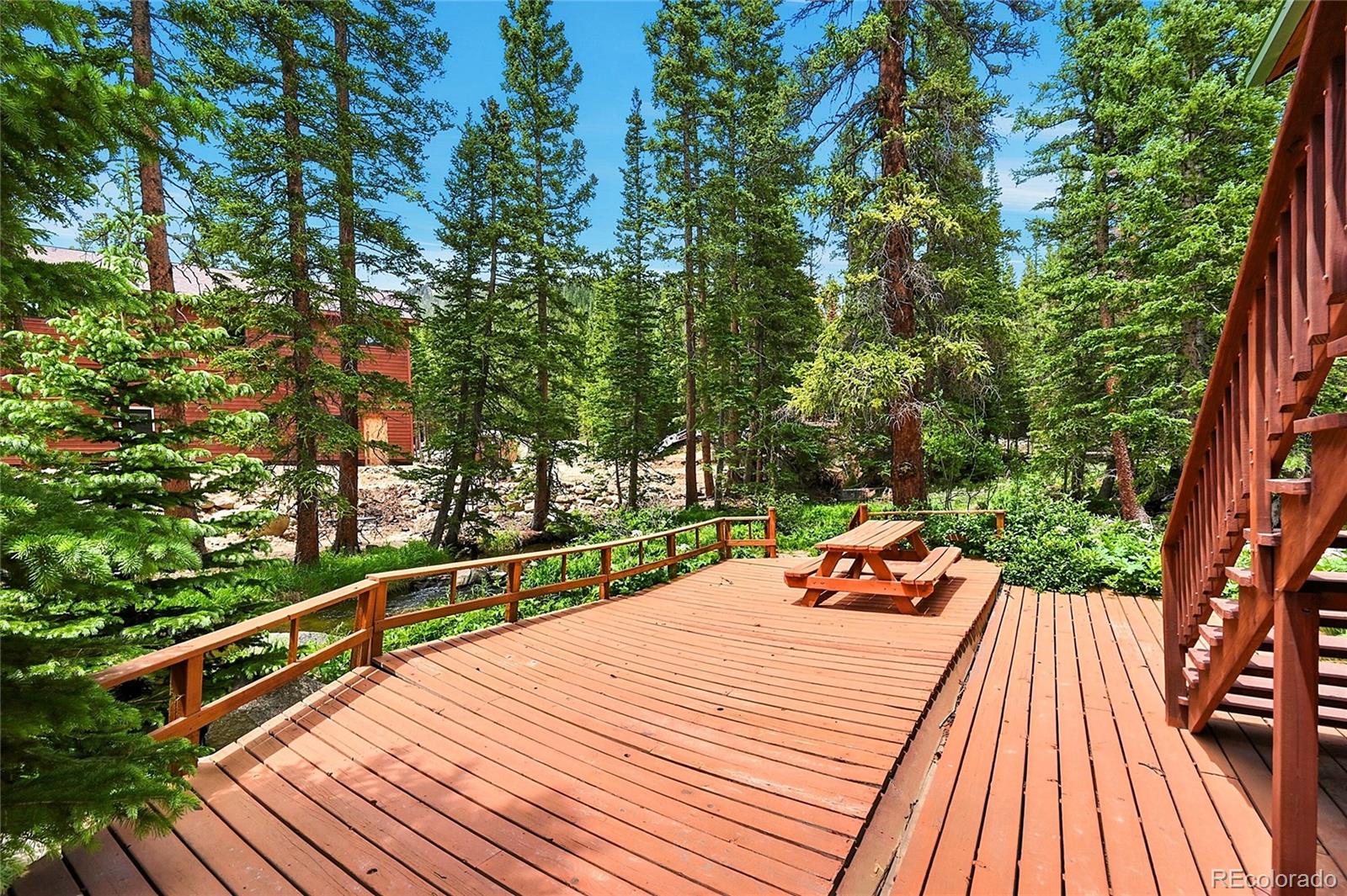 MLS Image #7 for 353  brook drive,idaho springs, Colorado