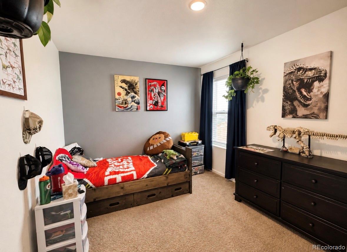 MLS Image #14 for 2000  panorama street,brighton, Colorado