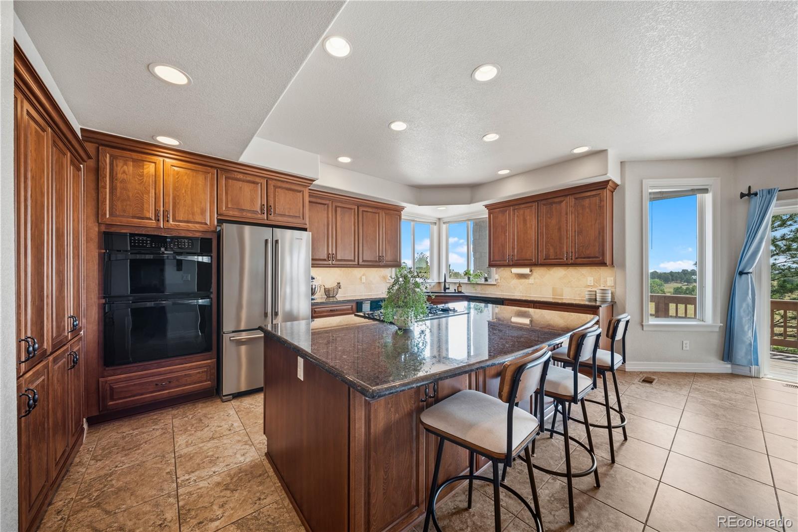 MLS Image #10 for 213  scotch pine circle,parker, Colorado