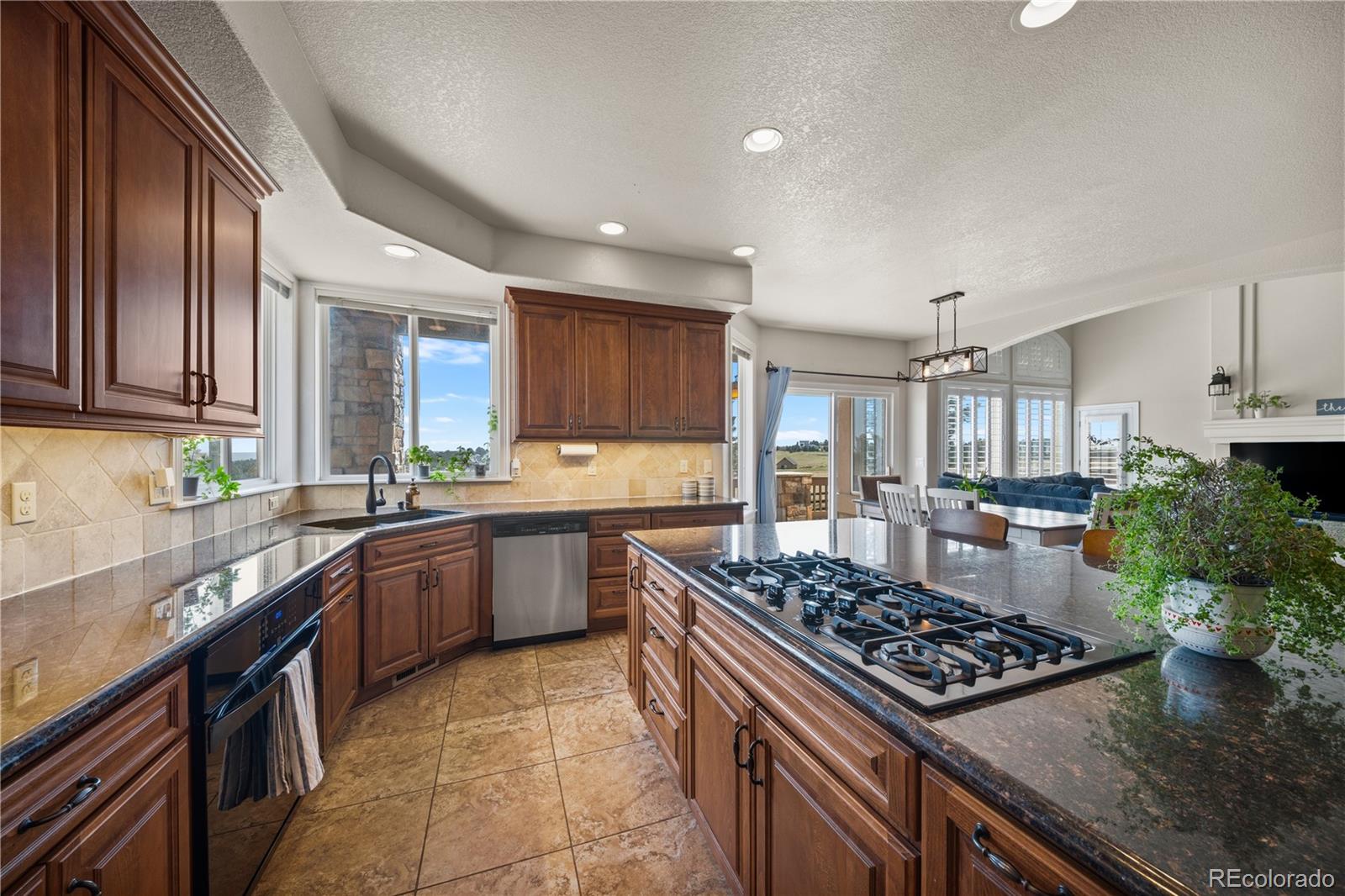MLS Image #11 for 213  scotch pine circle,parker, Colorado